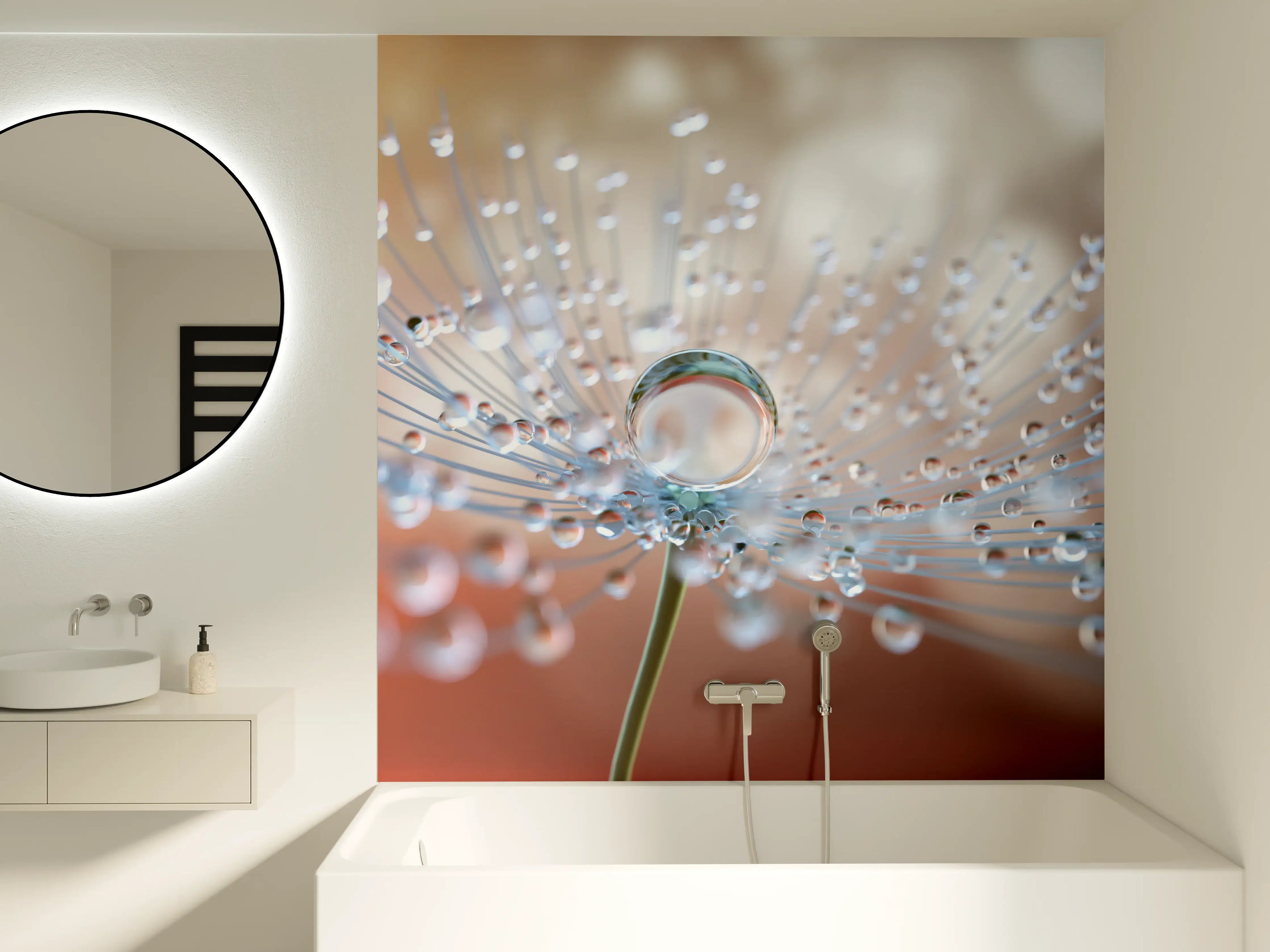 Badewannen-Rückwand - Pusteblume mit Tautropfen bei Abendlicht