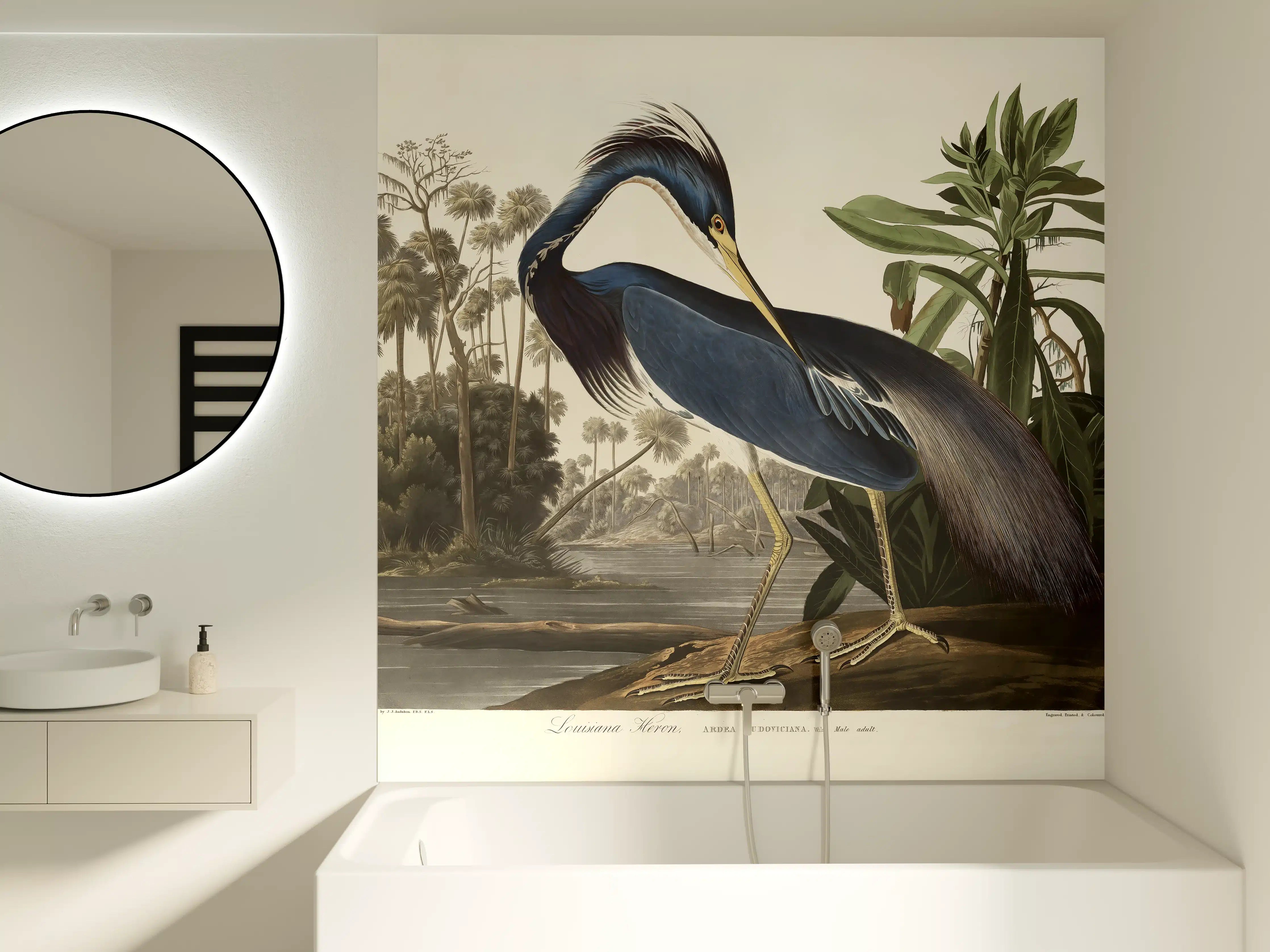 Badewannen-Rückwand - Reiher Portrait - John James Audubon