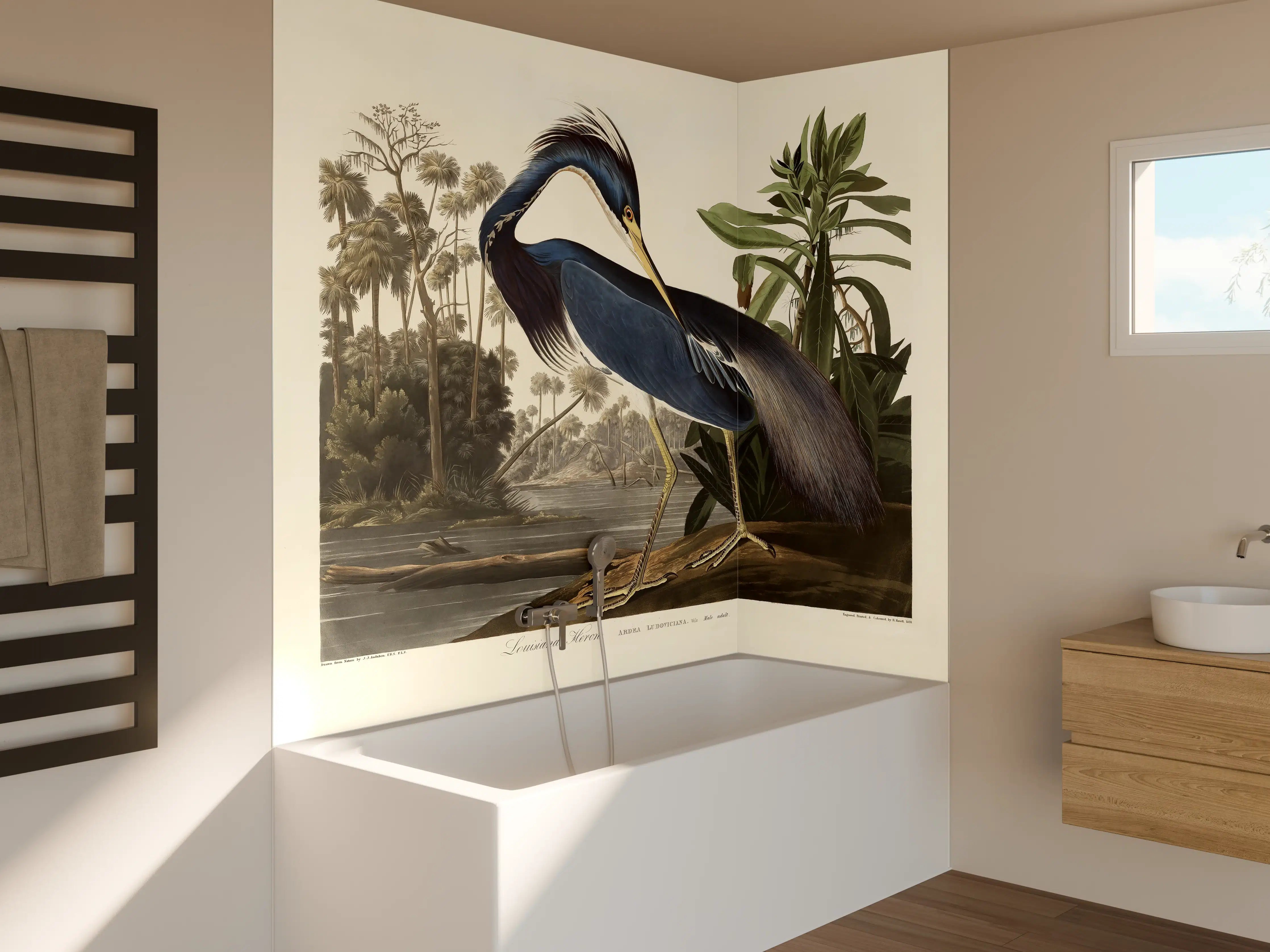 Badewannen-Rückwand - Reiher Portrait - John James Audubon