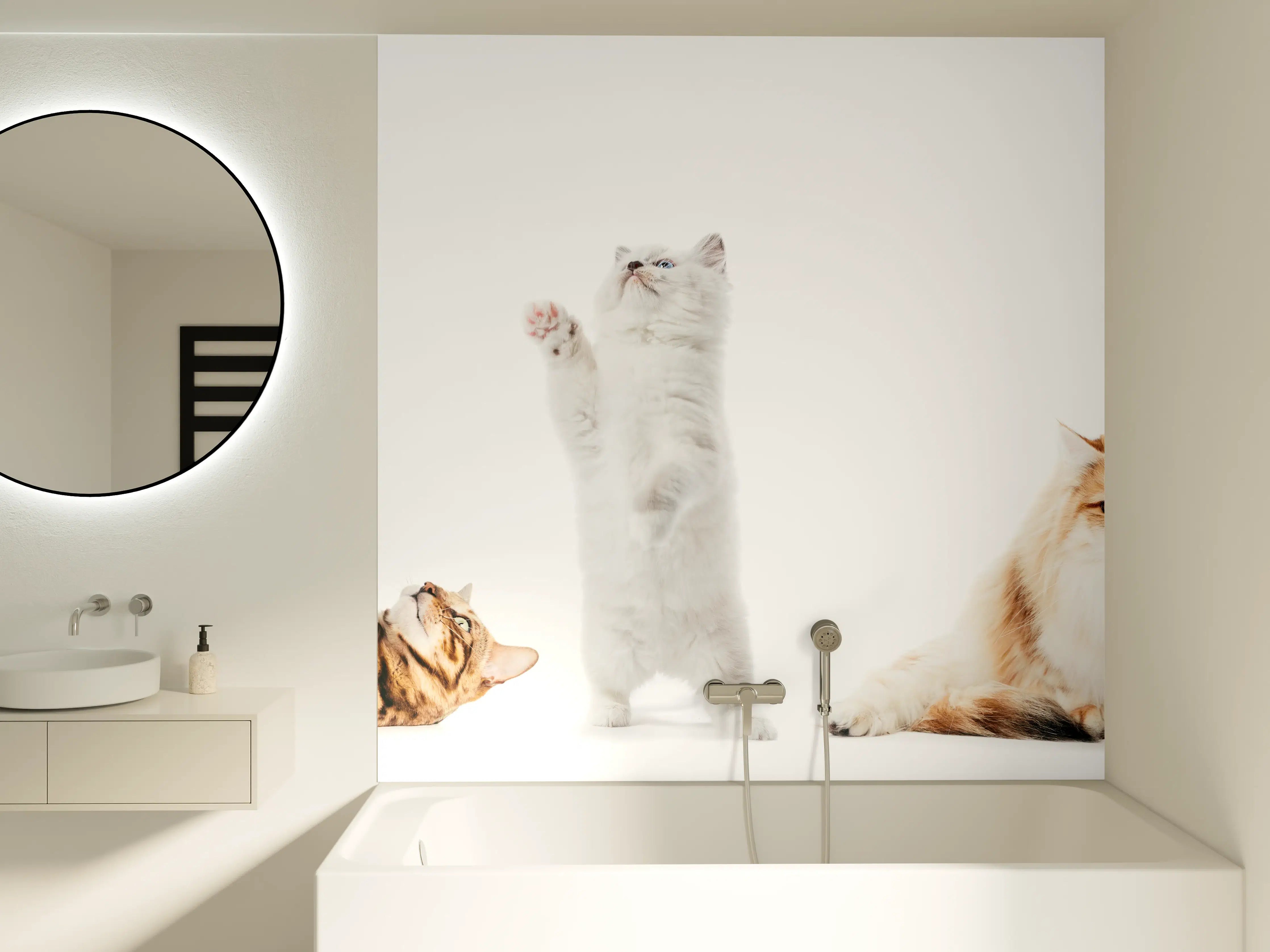 Badewannen-Rückwand - Reinrassige Katzen Weiß-Sammlung
