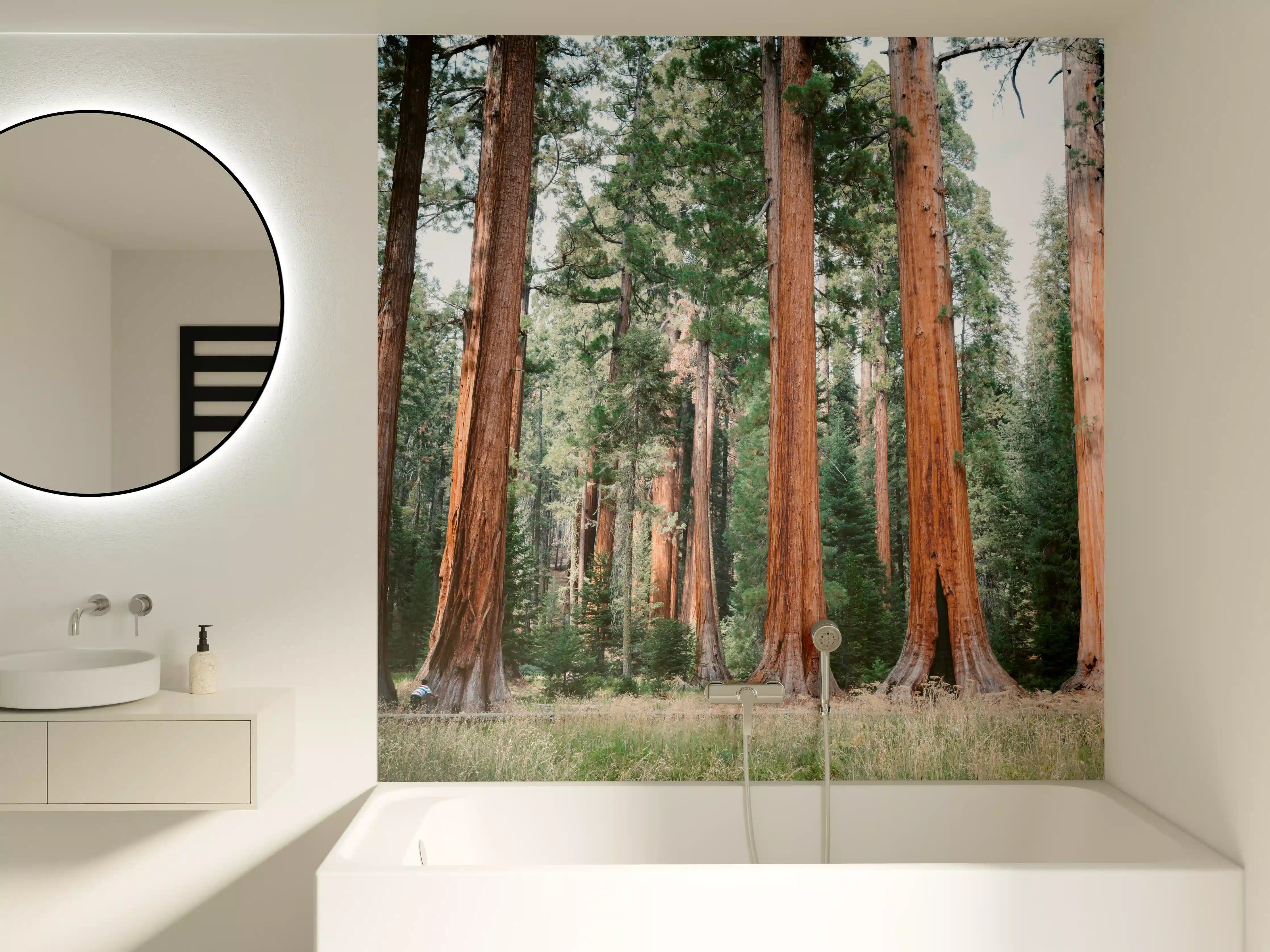 Badewannen-Rückwand - Riesenmammutbäume im Sequoia-Nationalpark