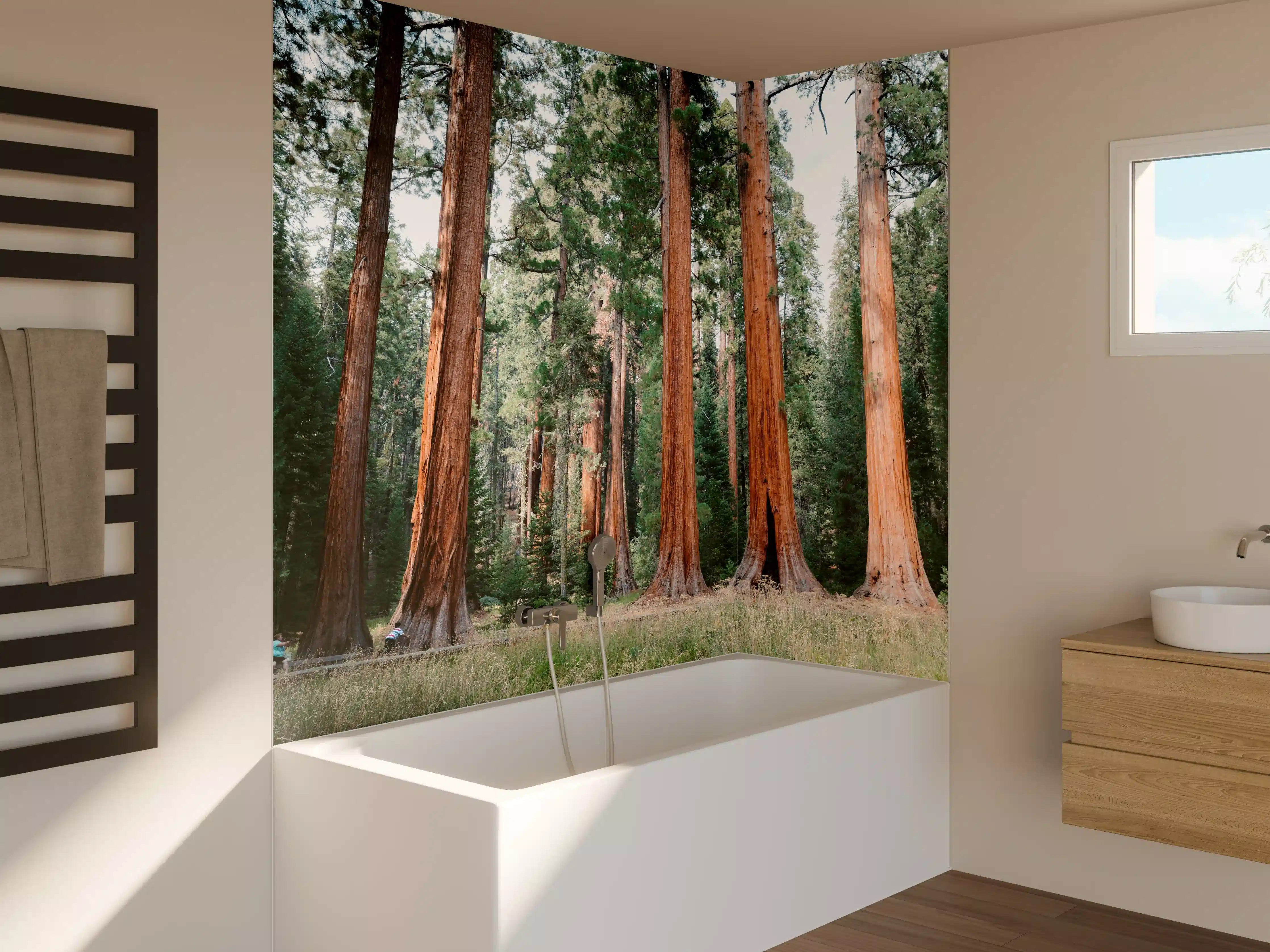 Badewannen-Rückwand - Riesenmammutbäume im Sequoia-Nationalpark