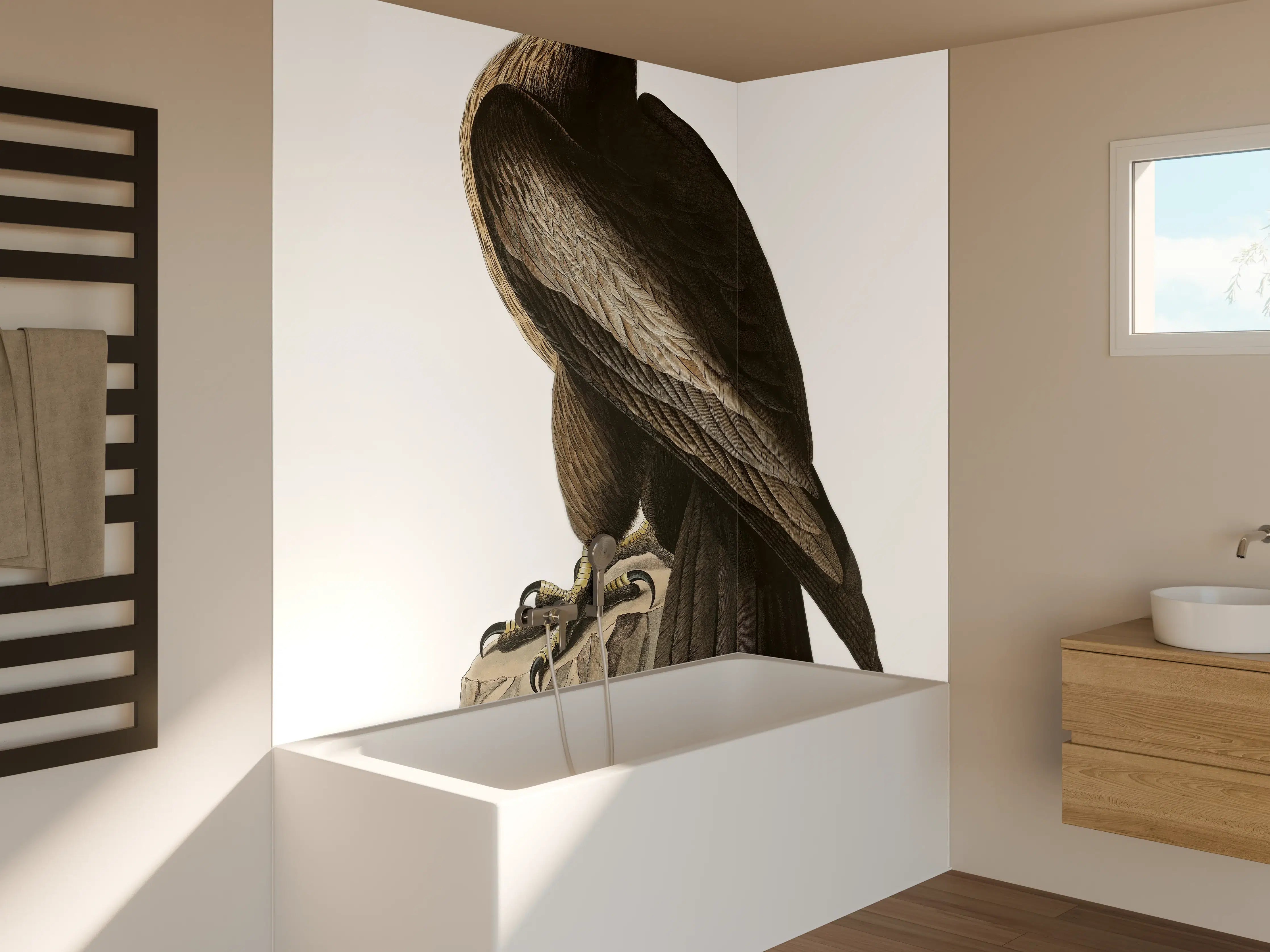 Badewannen-Rückwand - Riesenseeadler Portrait - John James Audubon