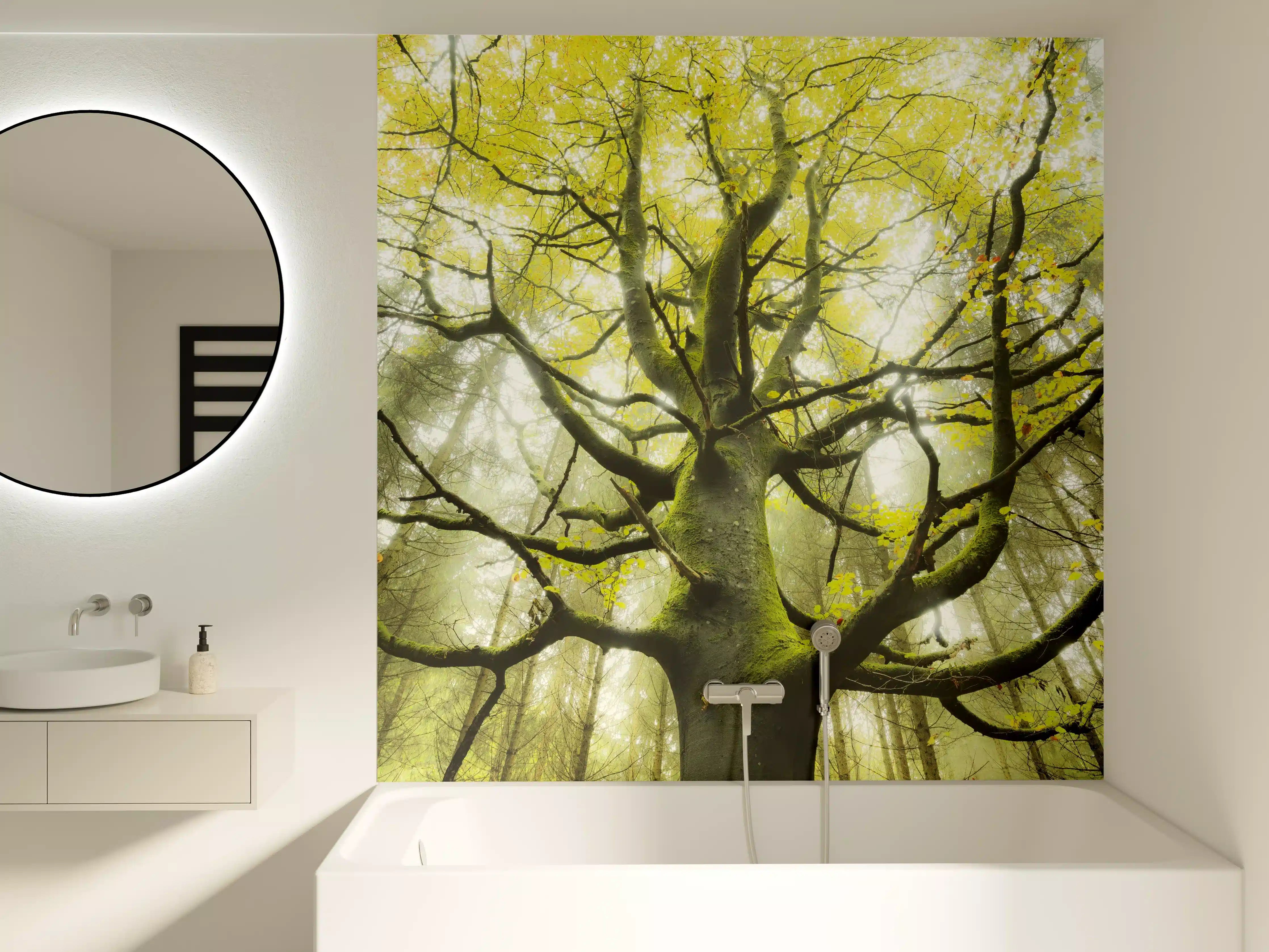 Badewannen-Rückwand - Riesiger Baum in Bayern