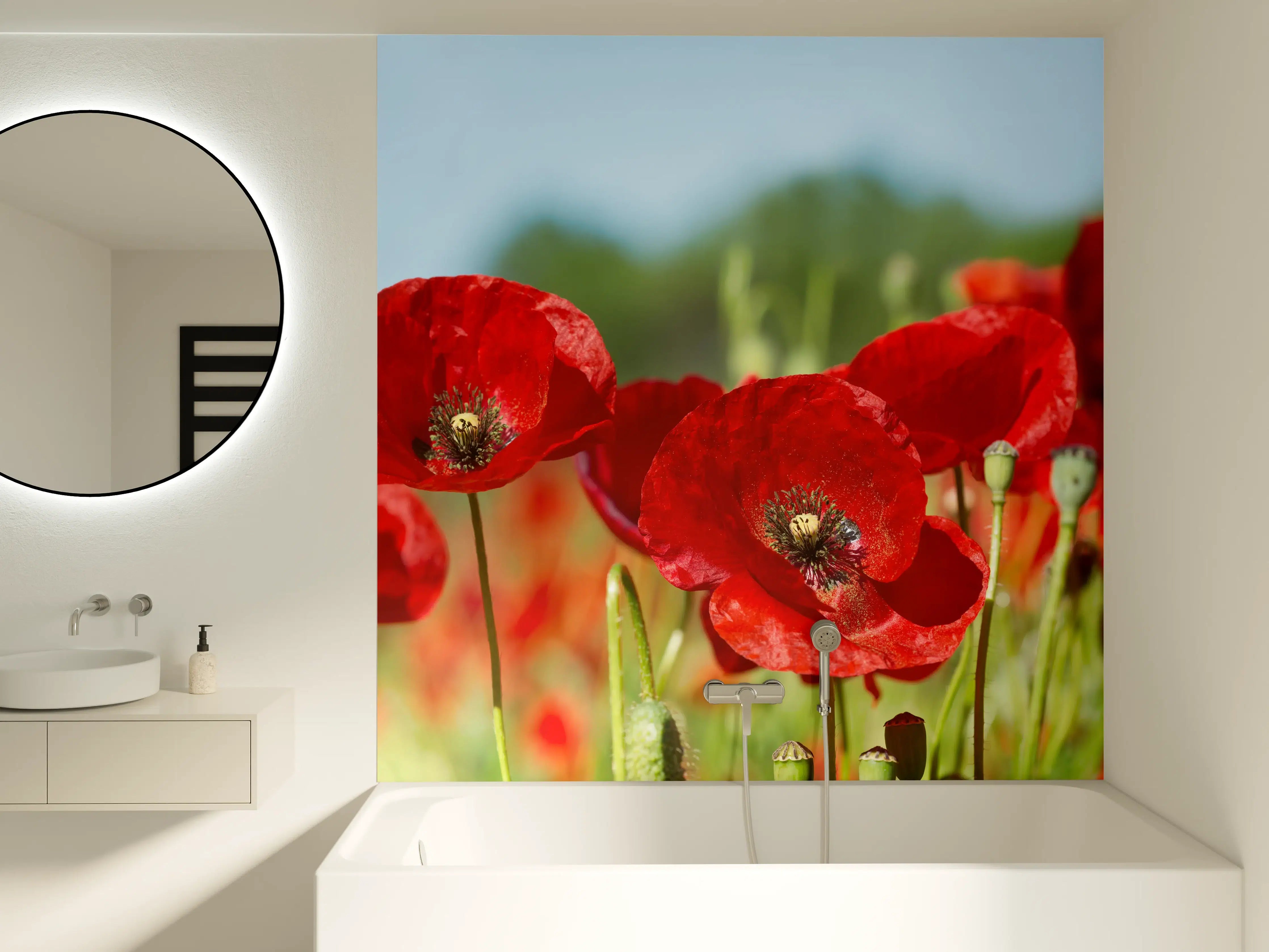 Badewannen-Rückwand - Rote Mohnblumen auf einem Feld