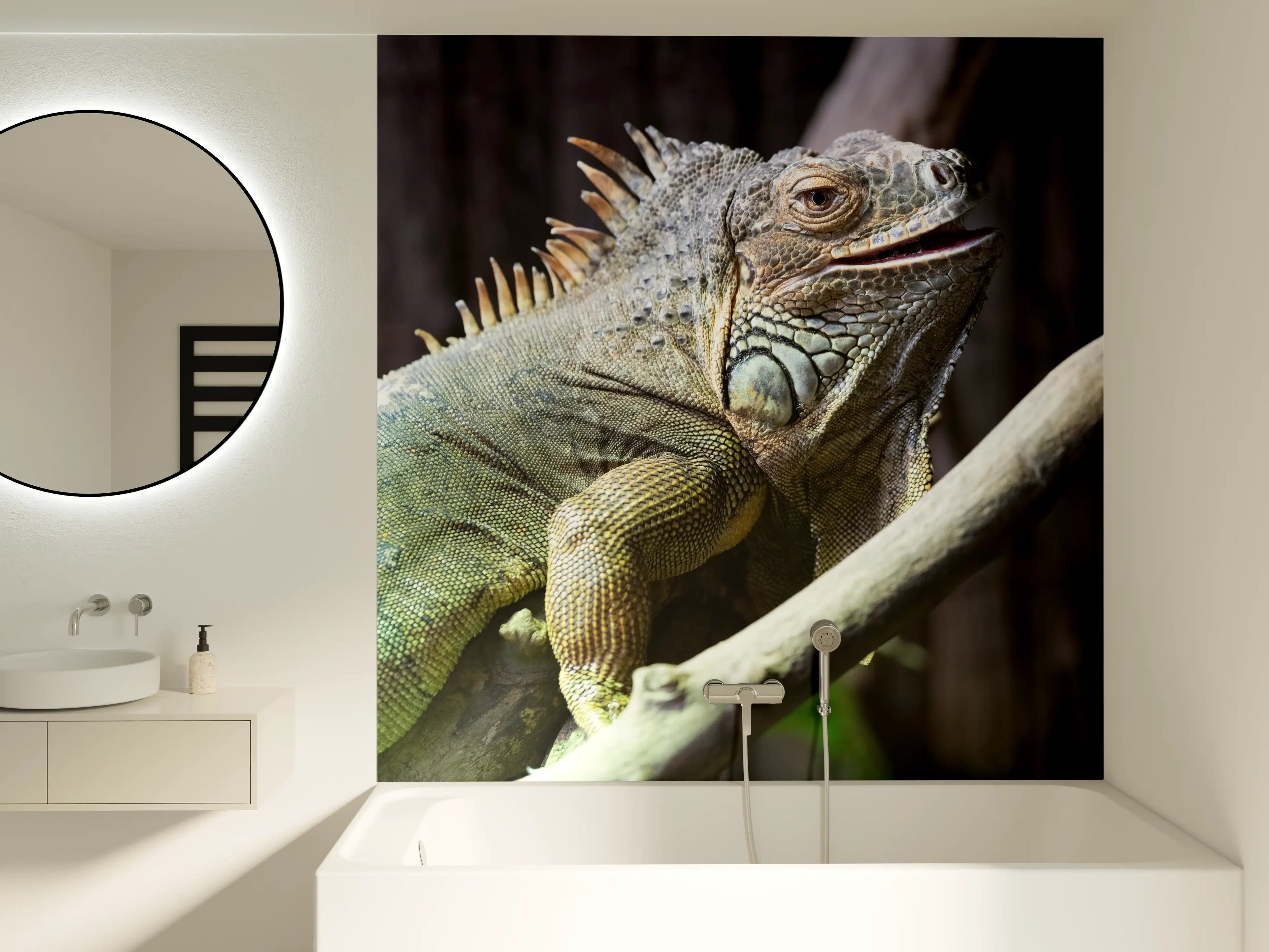 Badewannen-Rückwand - Ruhender Leguan