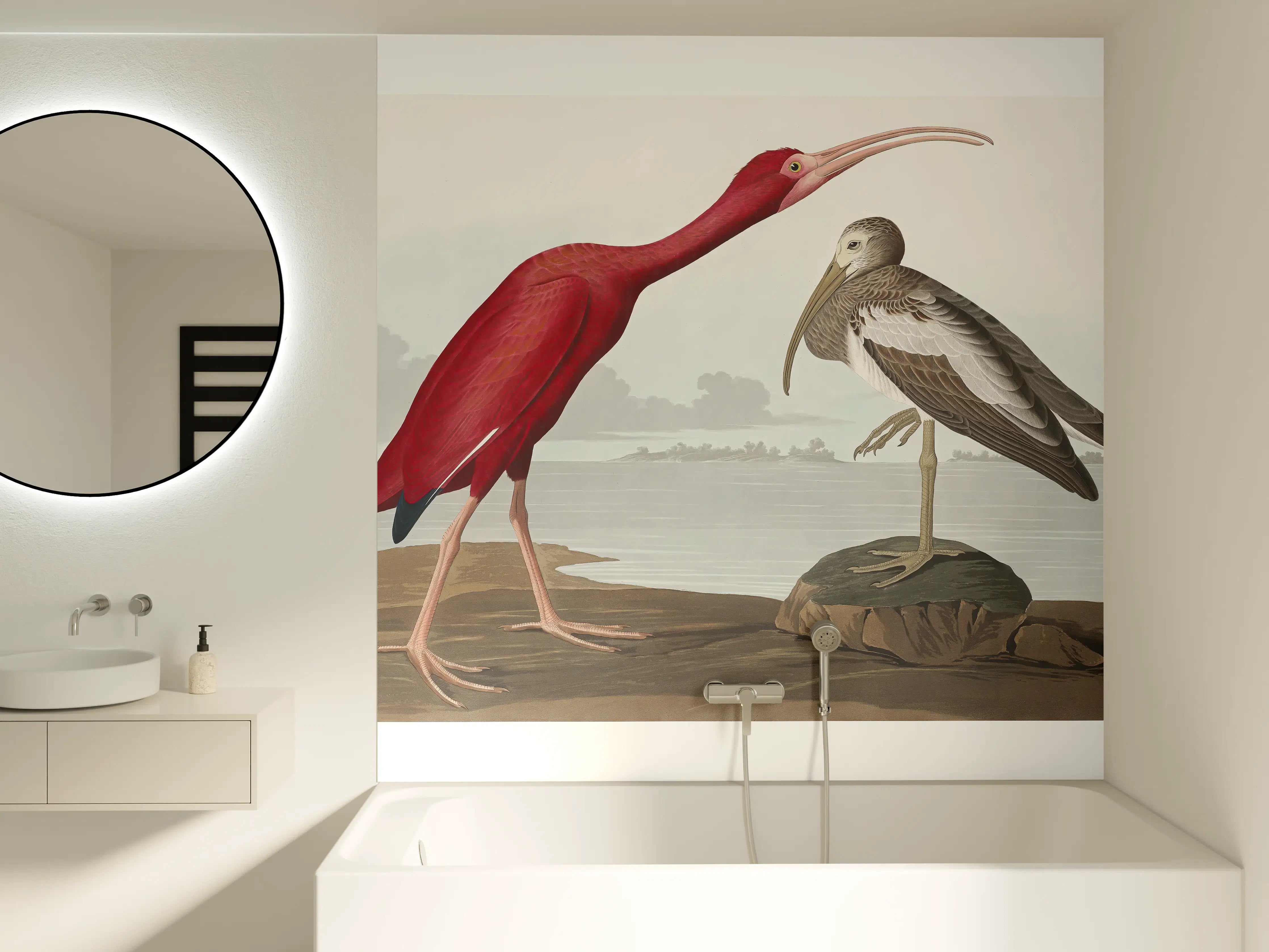 Badewannen-Rückwand - Scharlachsichler Portrait - John James Audubon
