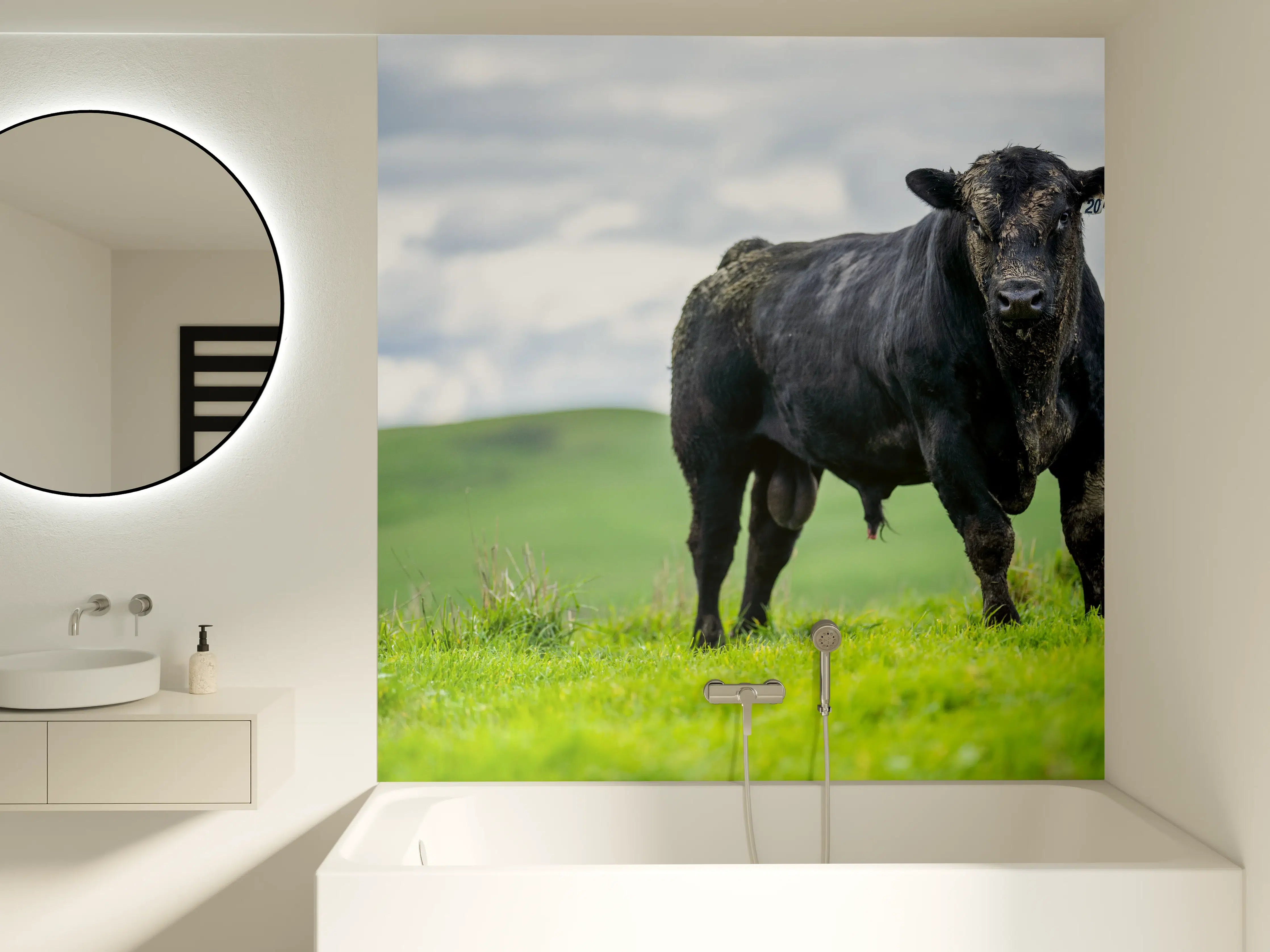 Badewannen-Rückwand - Schmutziger Aberdeen Angus