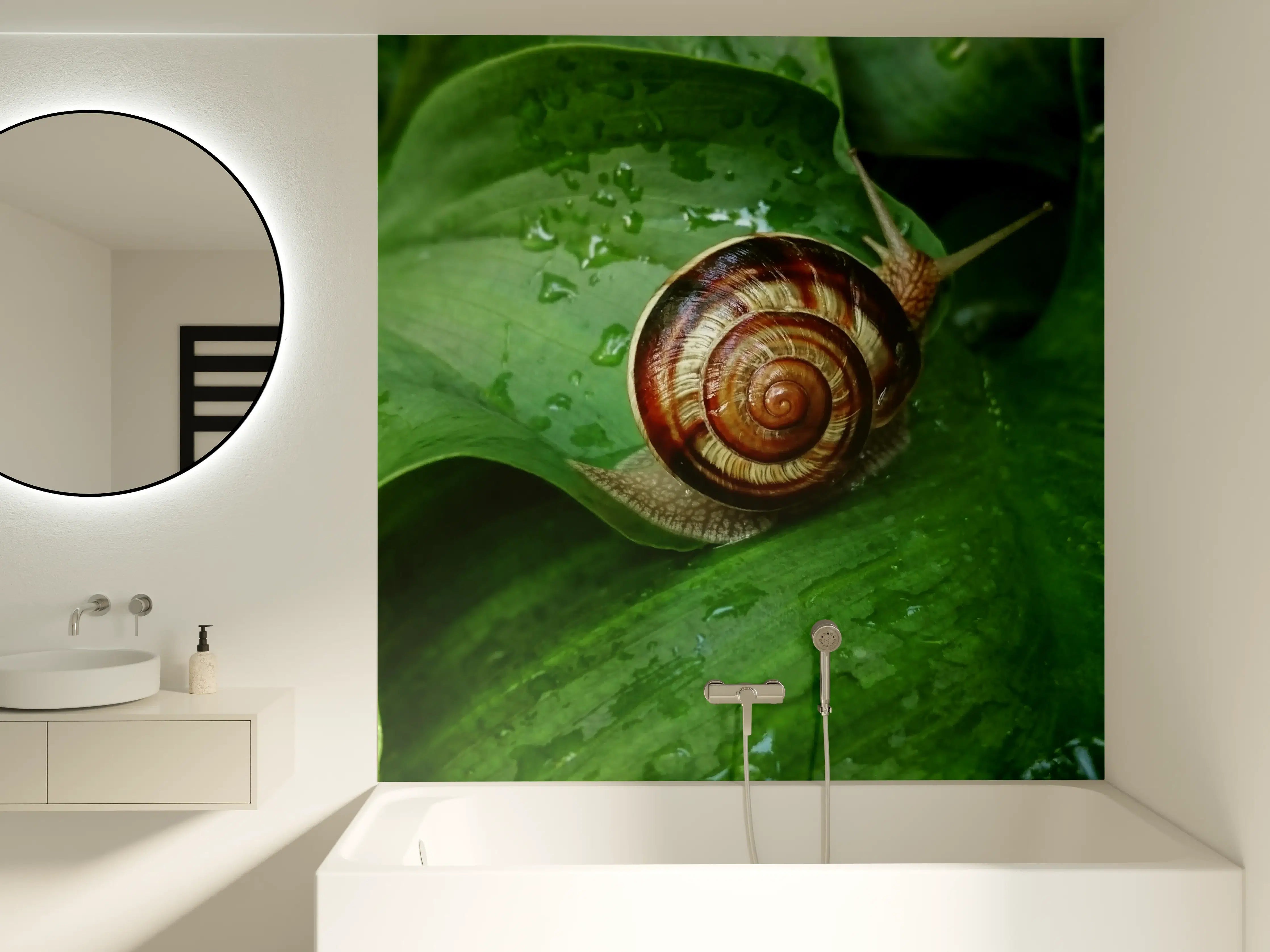 Badewannen-Rückwand - Schnecke auf einem nassen Blatt