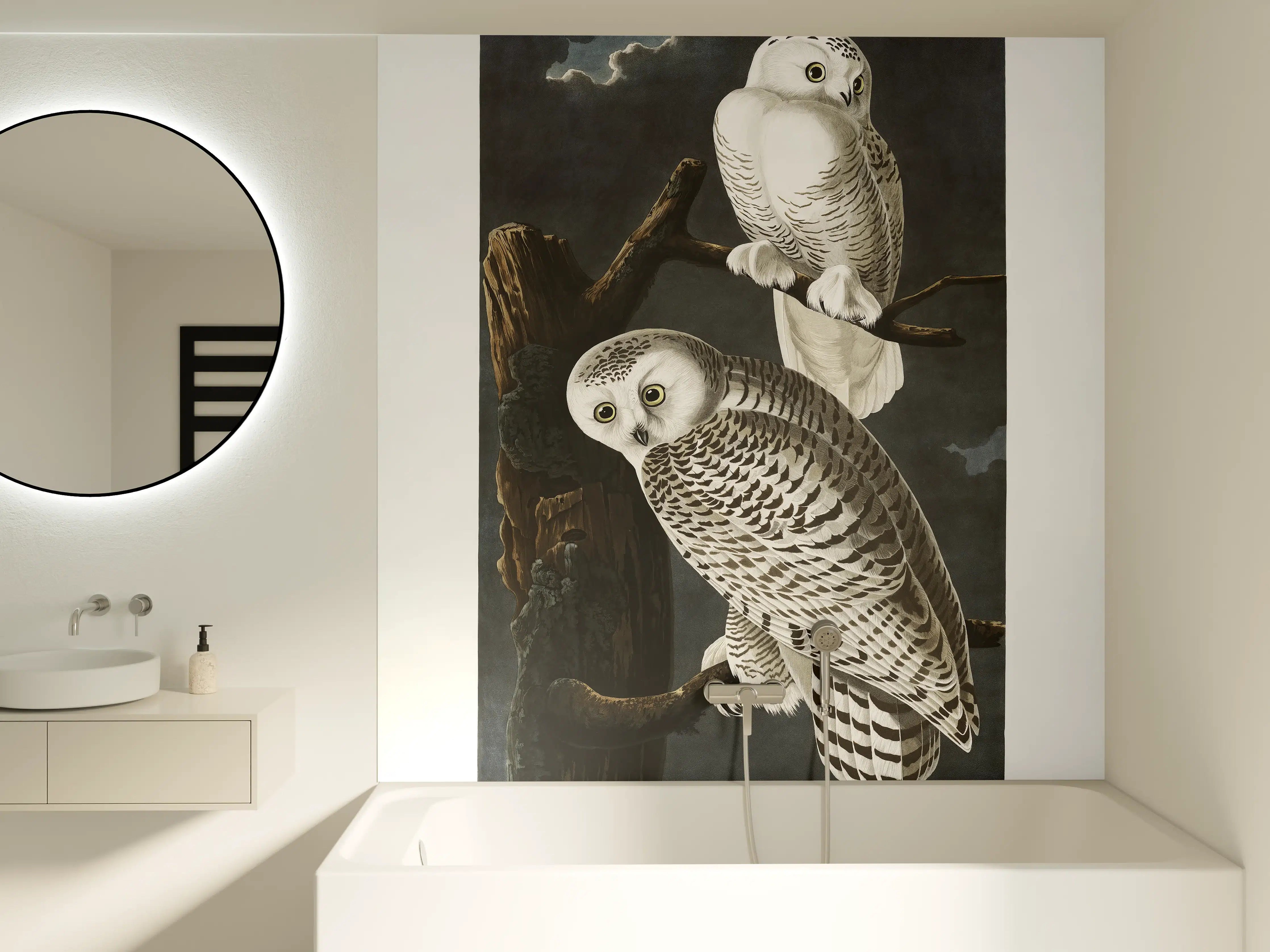 Badewannen-Rückwand - Schneeweiße Eulen - John James Audubon