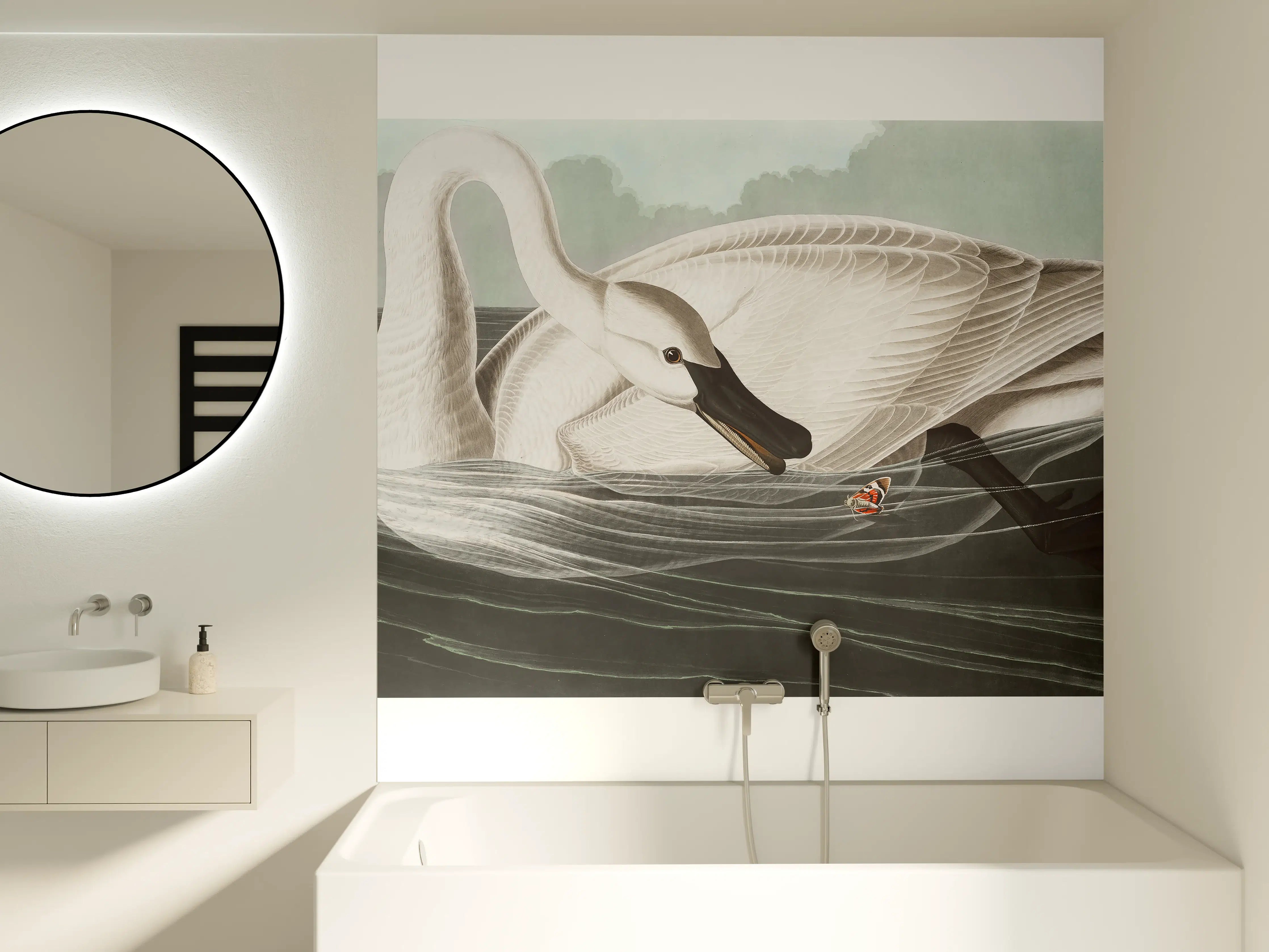 Badewannen-Rückwand - Schneeweißer Schwan - John James Audubon