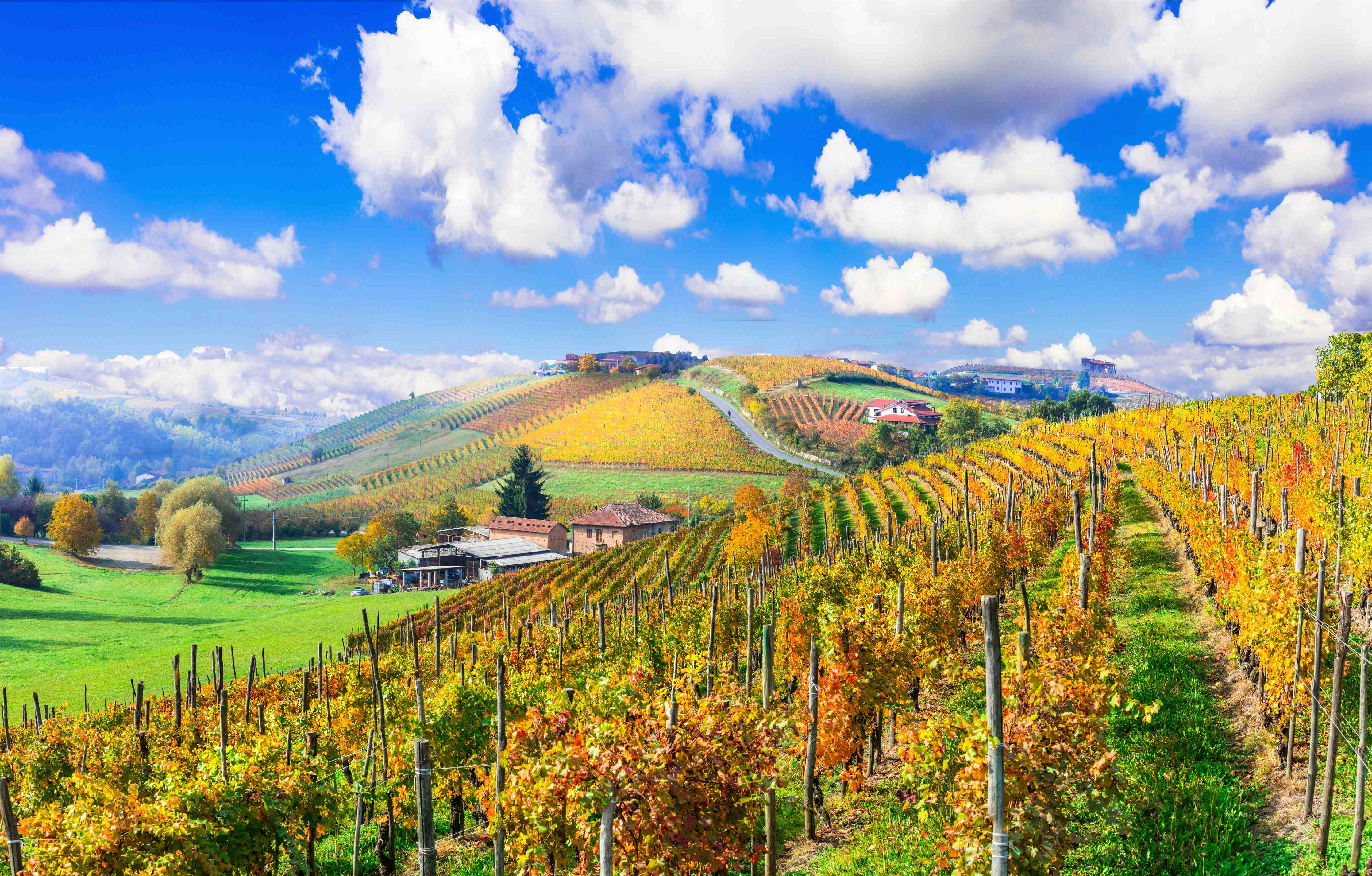 Badewannen-Rückwand-Schöne Herbstlandschaft mit Weinbergen - Toskana