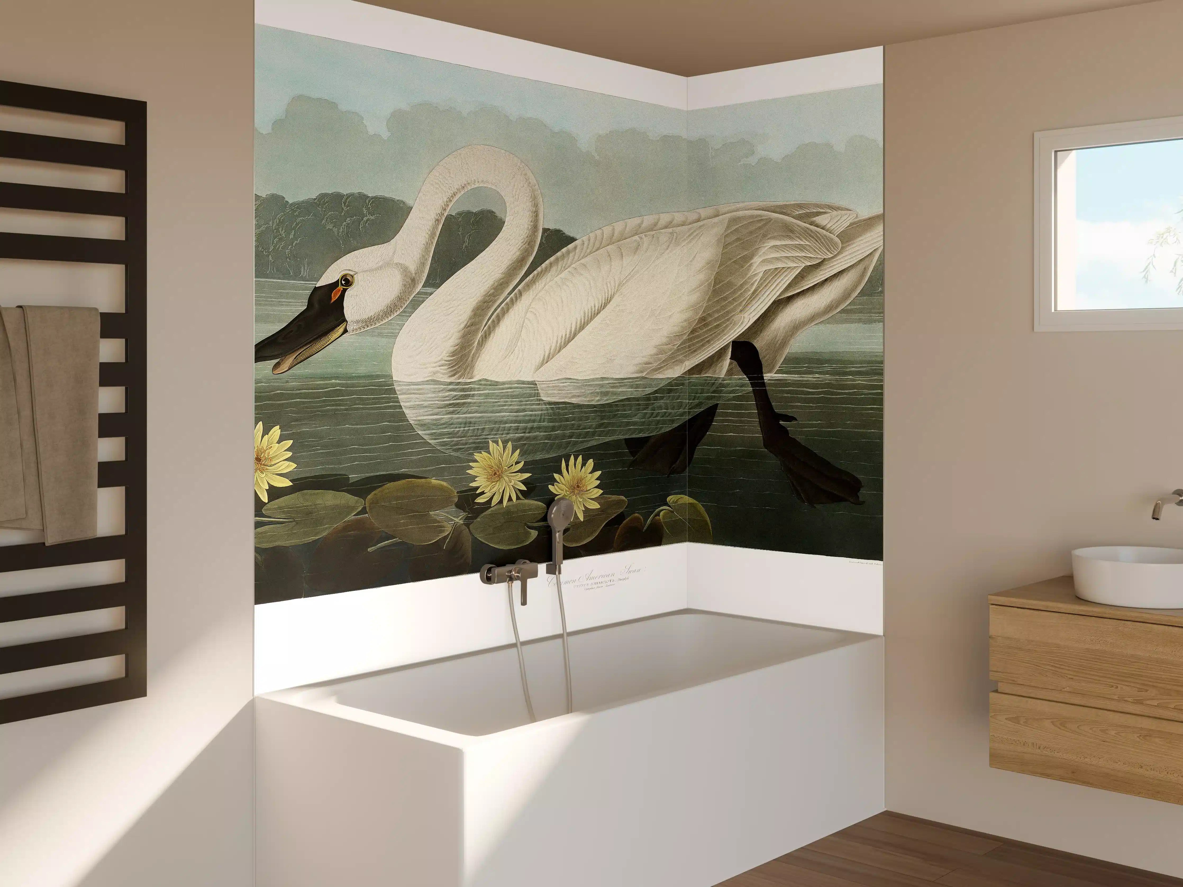 Badewannen-Rückwand - Schwan Portait - Robert Havell 