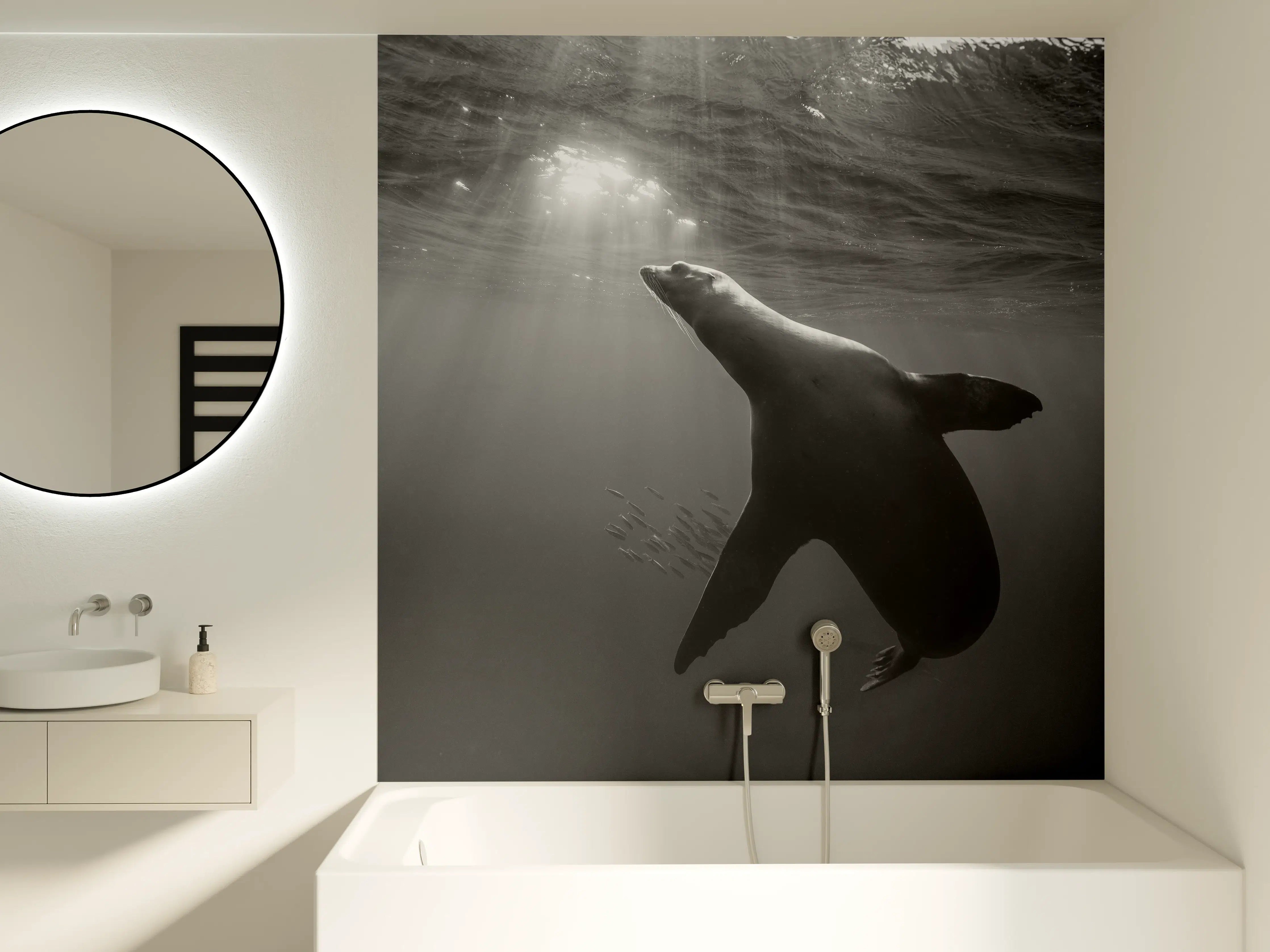 Badewannen-Rückwand - Seelöwe beim Fressen von Sardinen