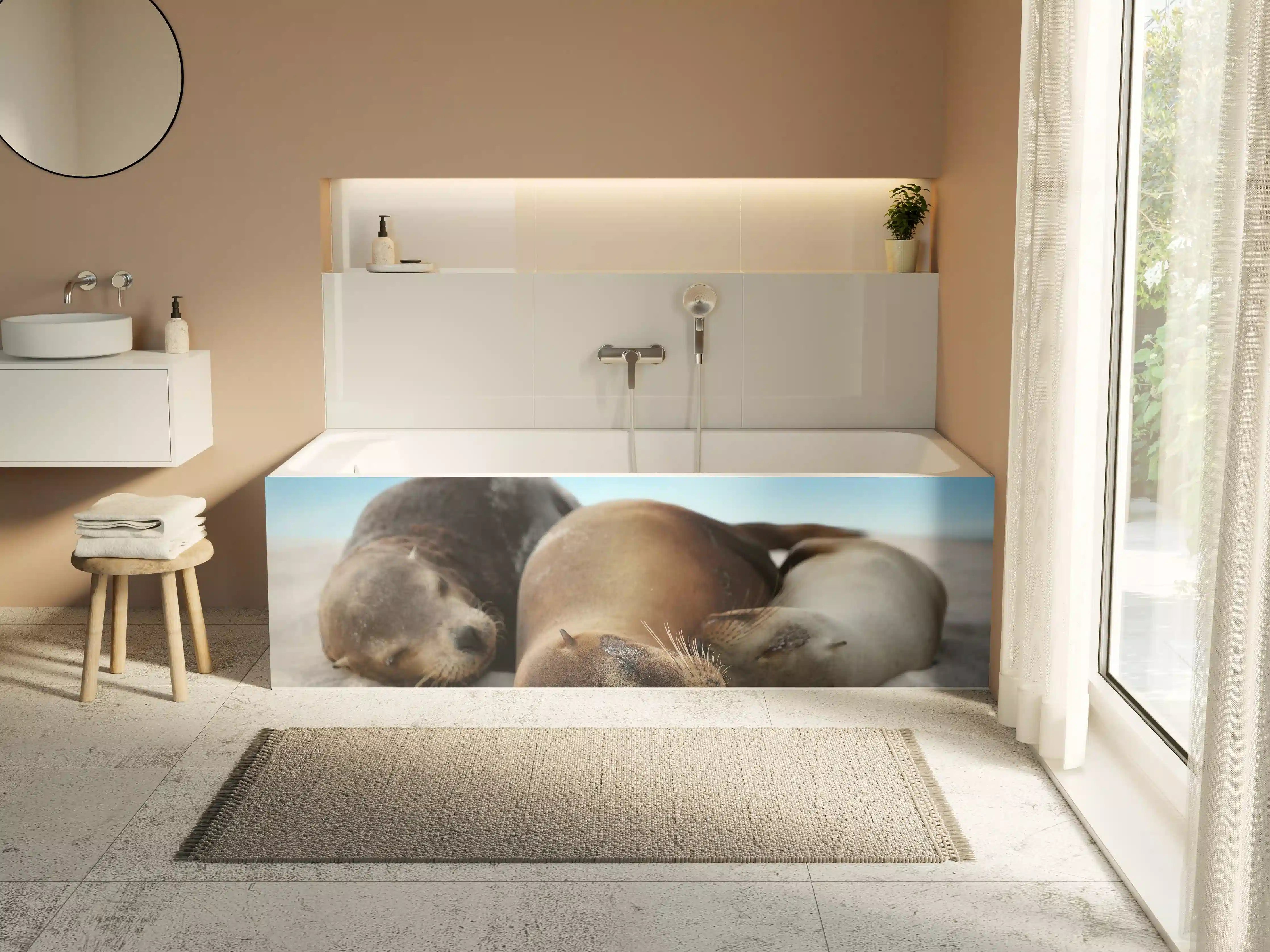 Badewannen-Rückwand - Seelöwen im Sand liegend