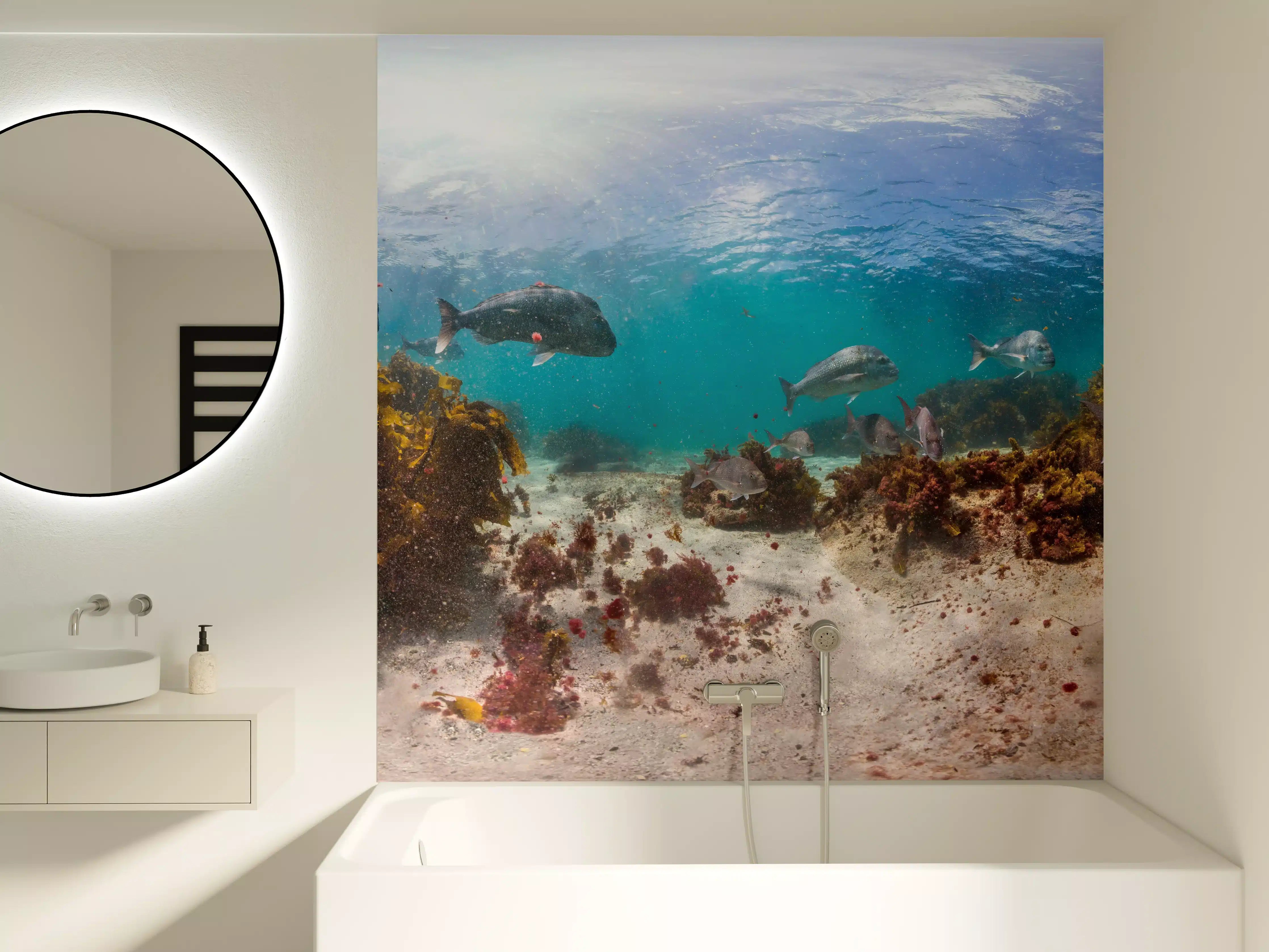 Badewannen-Rückwand - Seetang und Fisch in Neuseeland