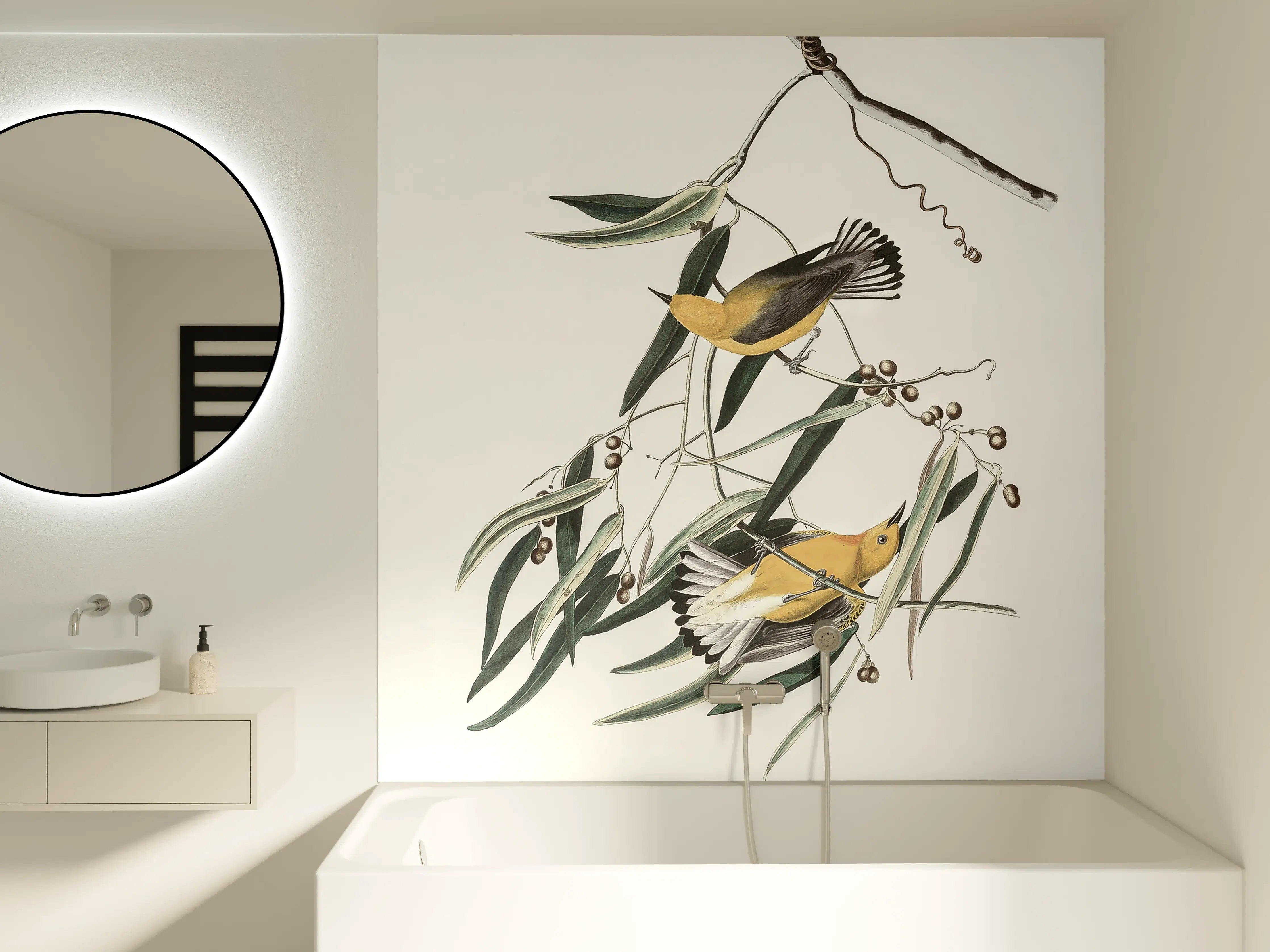 Badewannen-Rückwand - Singvogel Portrait - John James Audubon