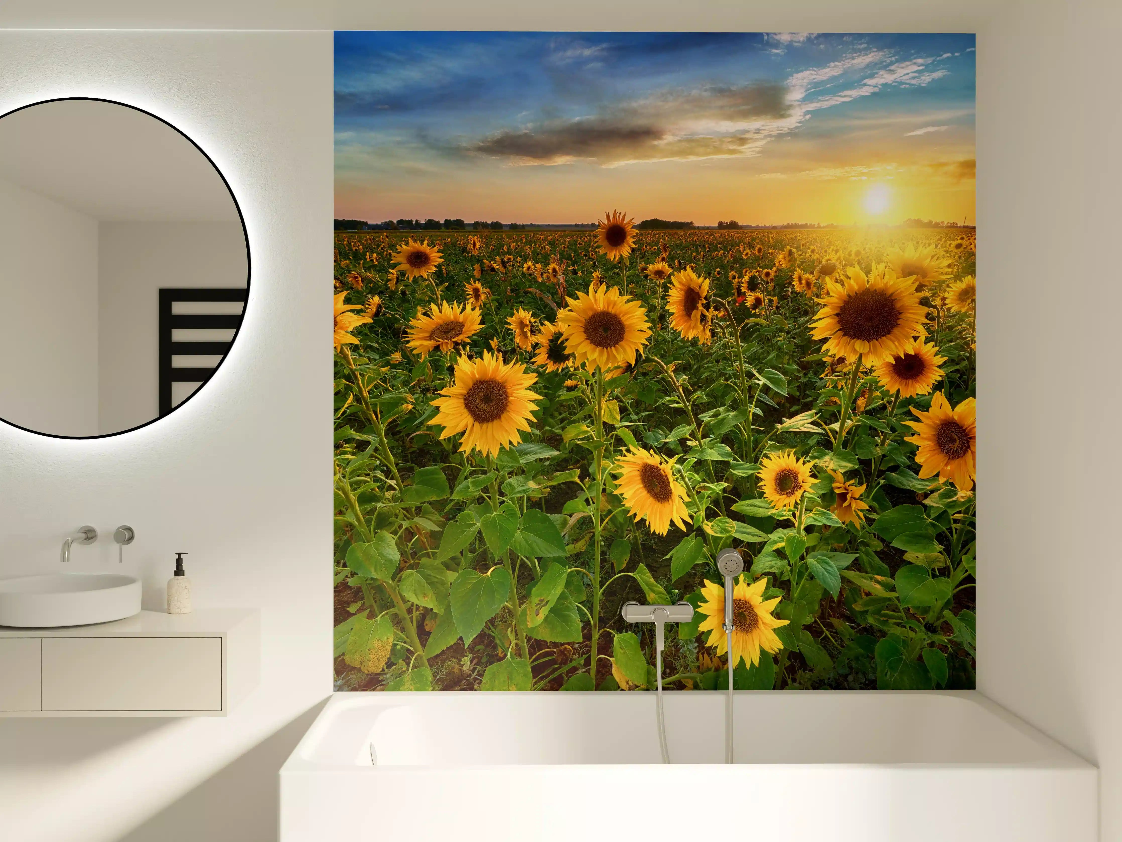 Badewannen-Rückwand - Sonnenuntergang über Sonnenblumenfeld in Hessen