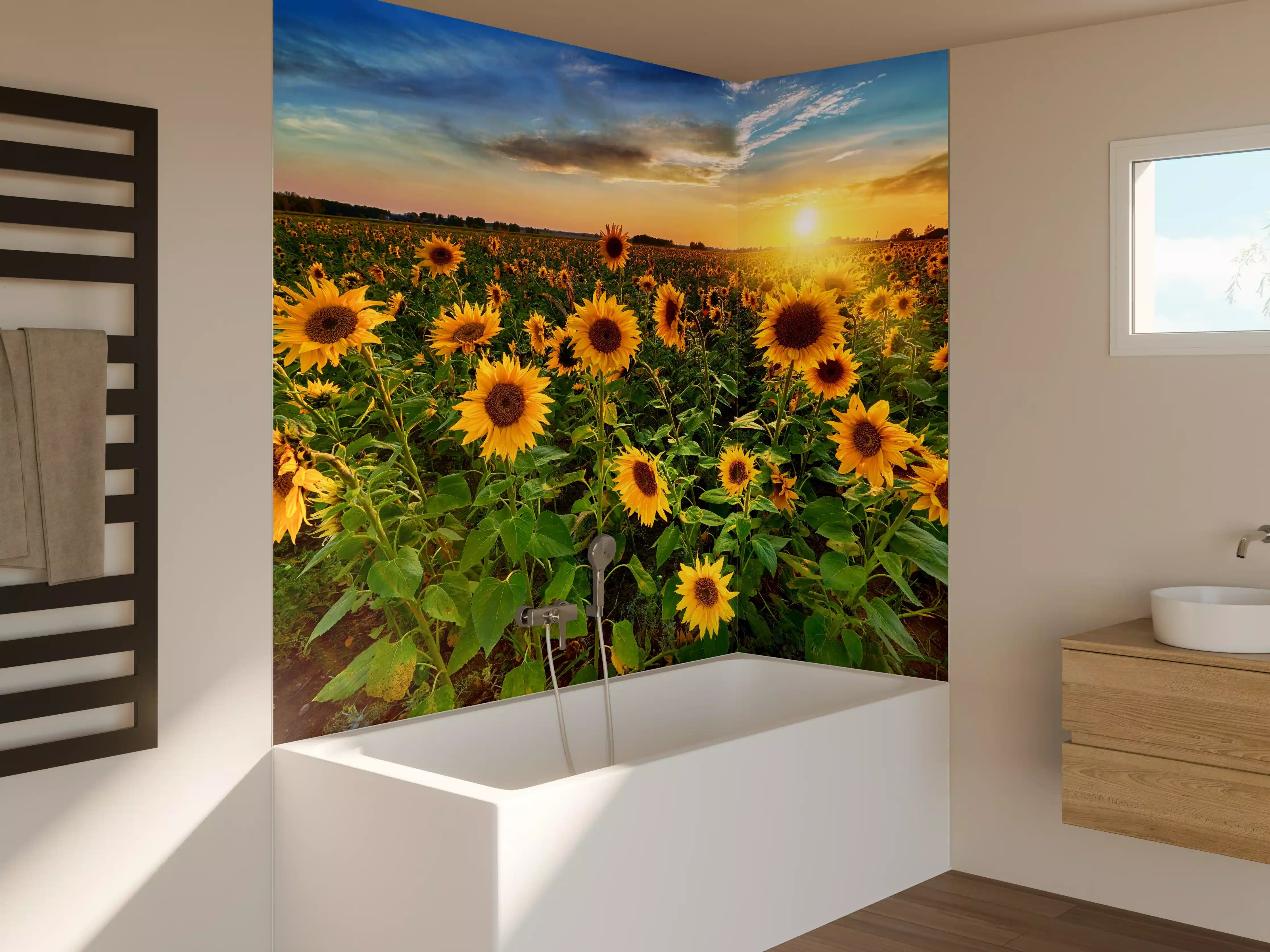 Badewannen-Rückwand - Sonnenuntergang über Sonnenblumenfeld in Hessen