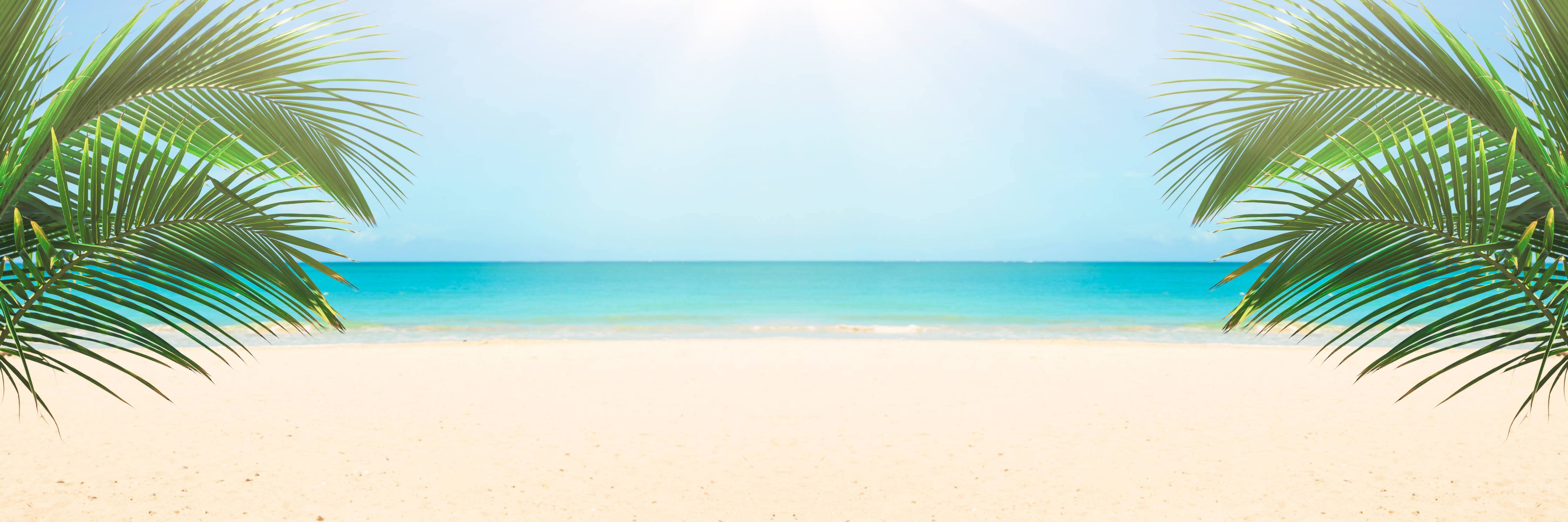 Badewannen-Rückwand-Sonniges tropisches Strandpanorama