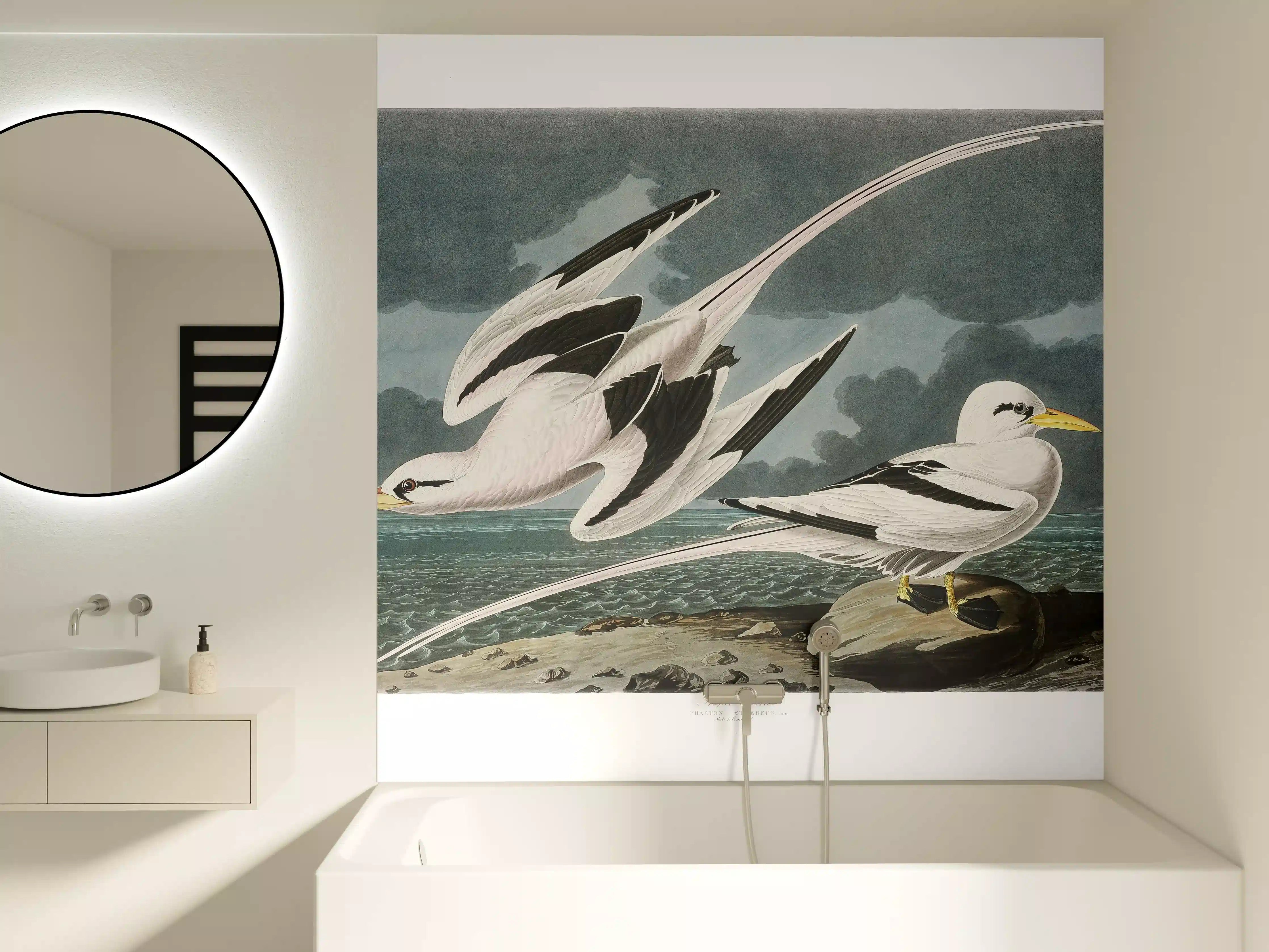 Badewannen-Rückwand - Tropische Vögel - John James Audubon