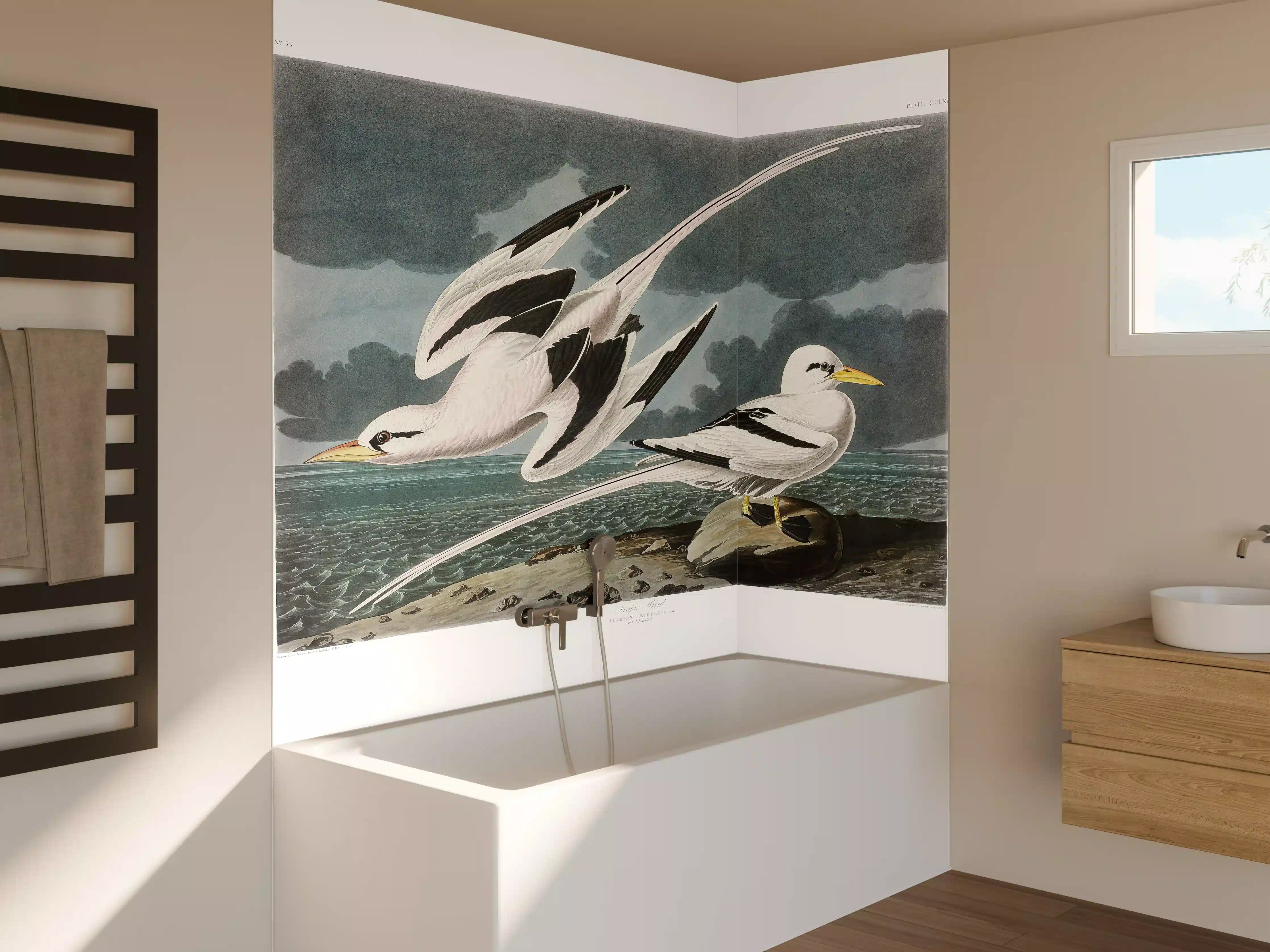 Badewannen-Rückwand - Tropische Vögel - John James Audubon