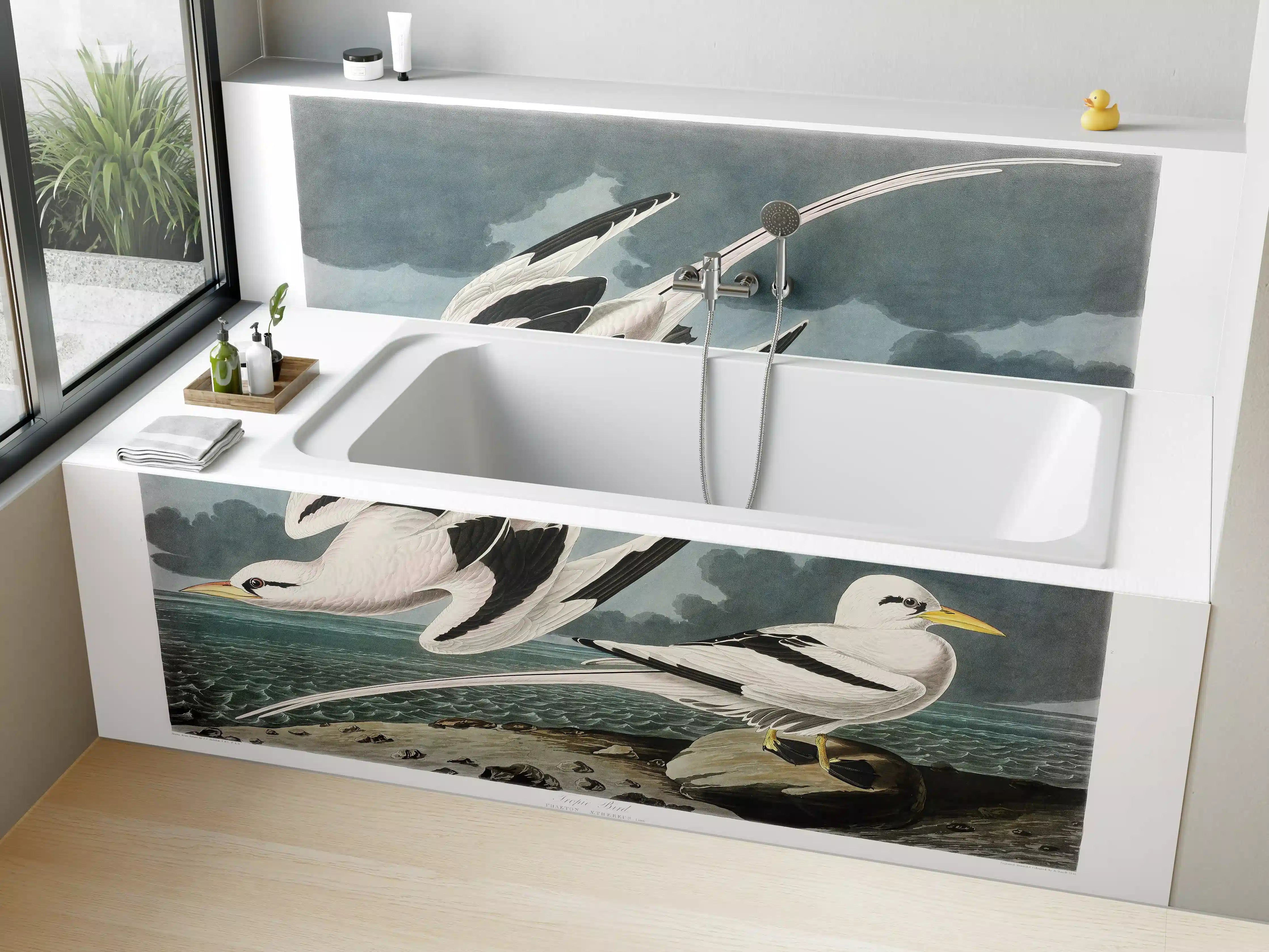 Badewannen-Rückwand - Tropische Vögel - John James Audubon