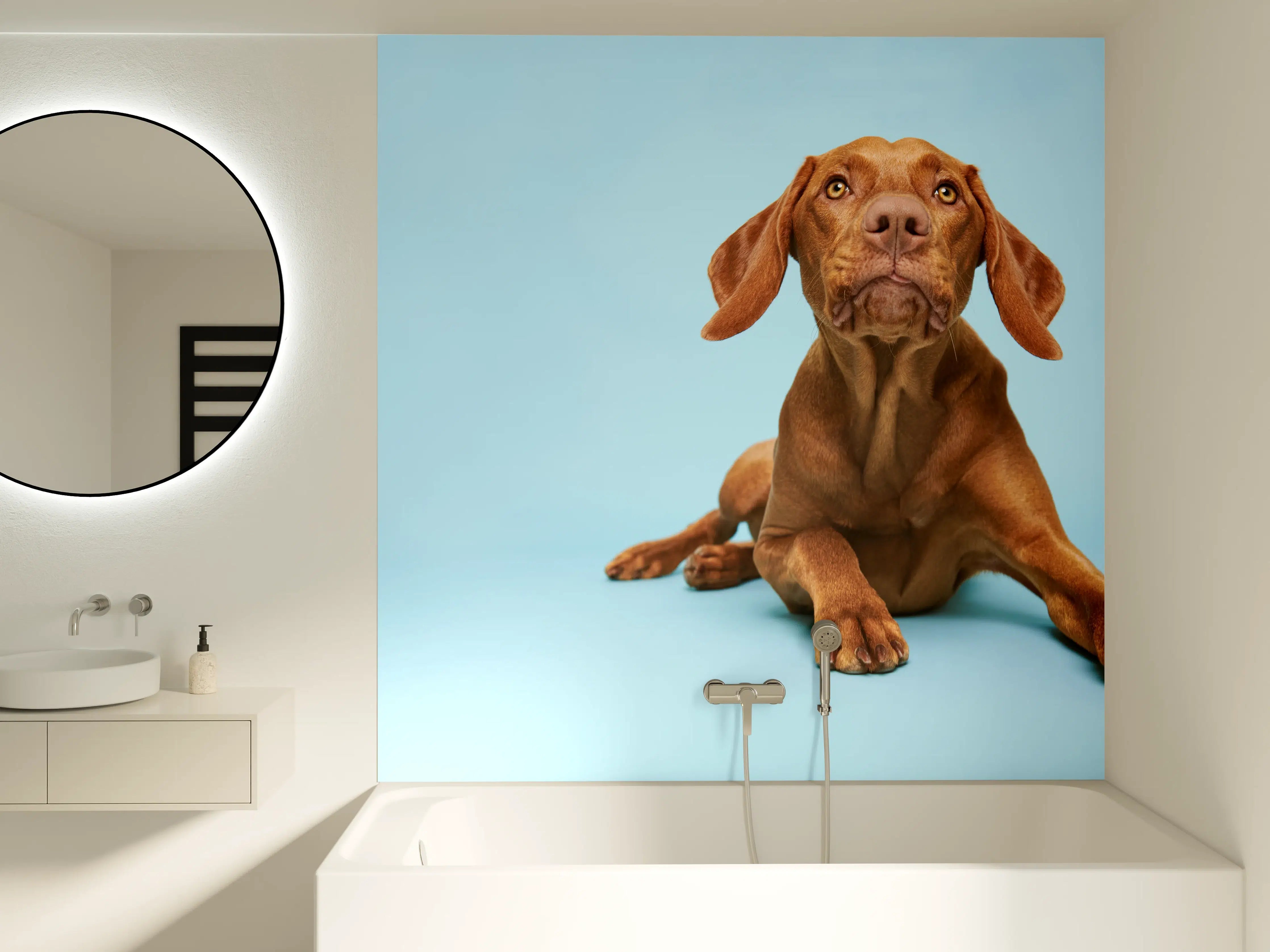 Badewannen-Rückwand - Ungarischer Vizsla-Welpe Portrait