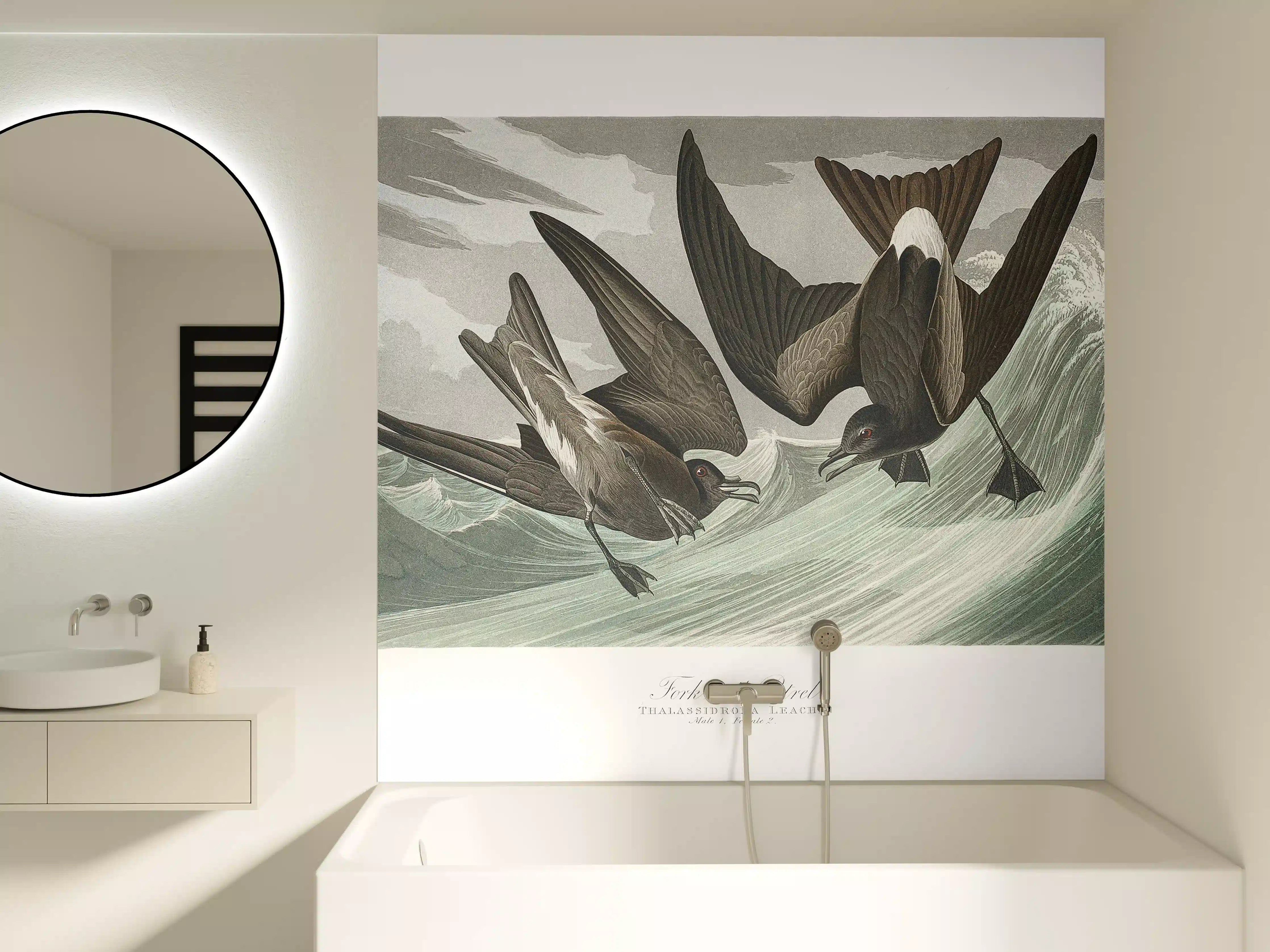 Badewannen-Rückwand - Vögel mitten im Meer - Robert Havell 
