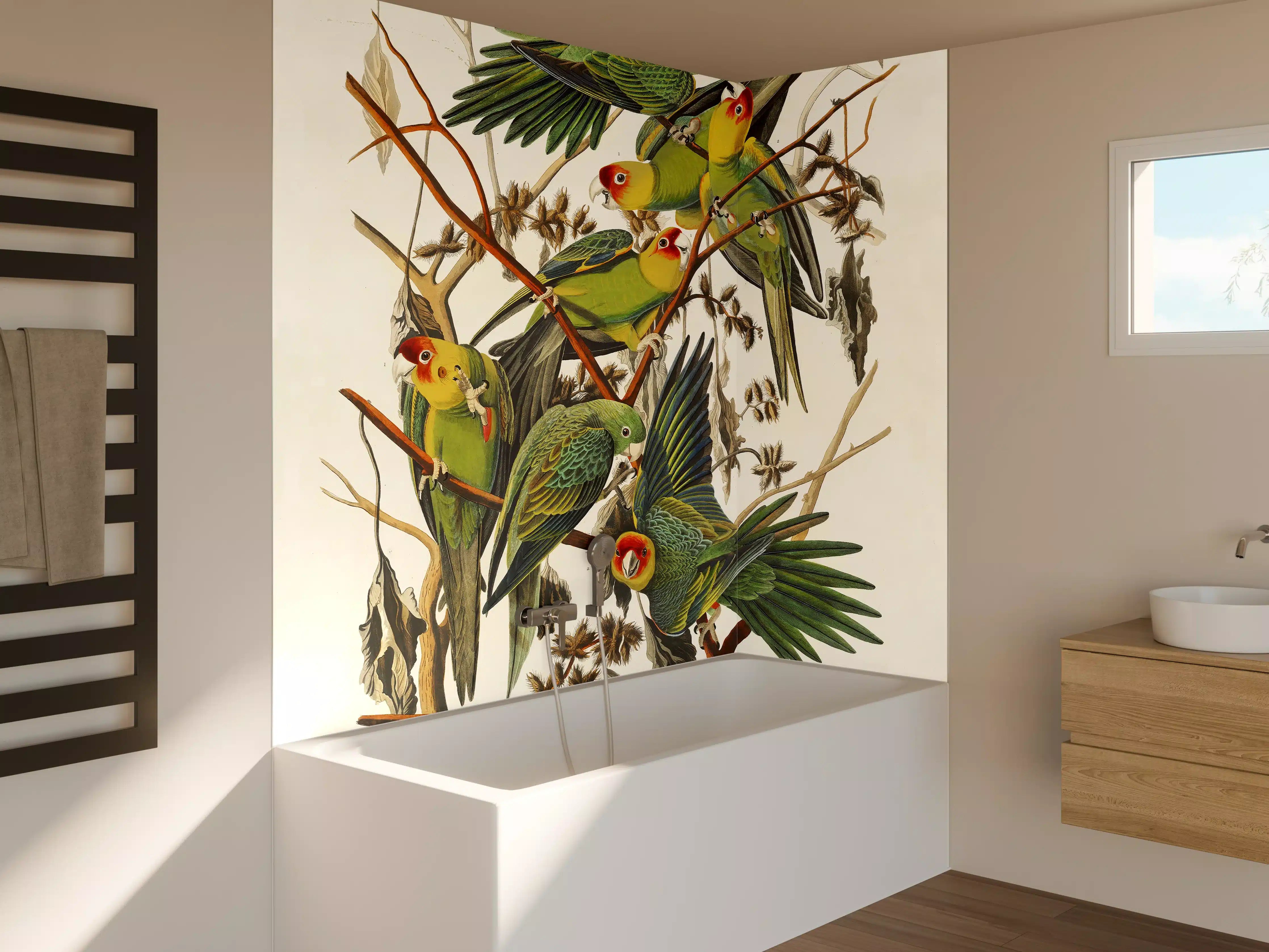 Badewannen-Rückwand - Vogel Portait - Robert Havell 