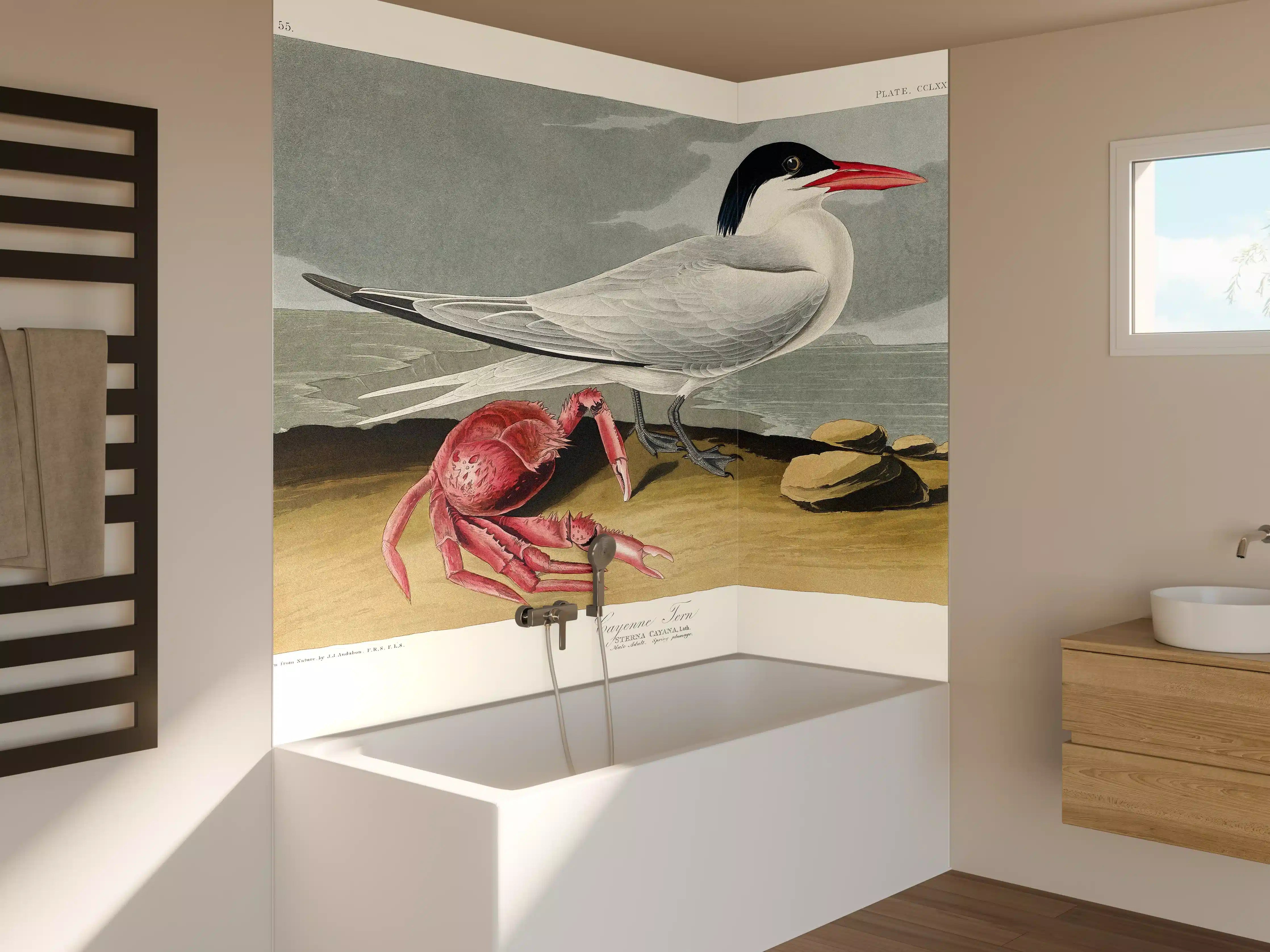Badewannen-Rückwand - Vogel Portrait - Robert Havell
