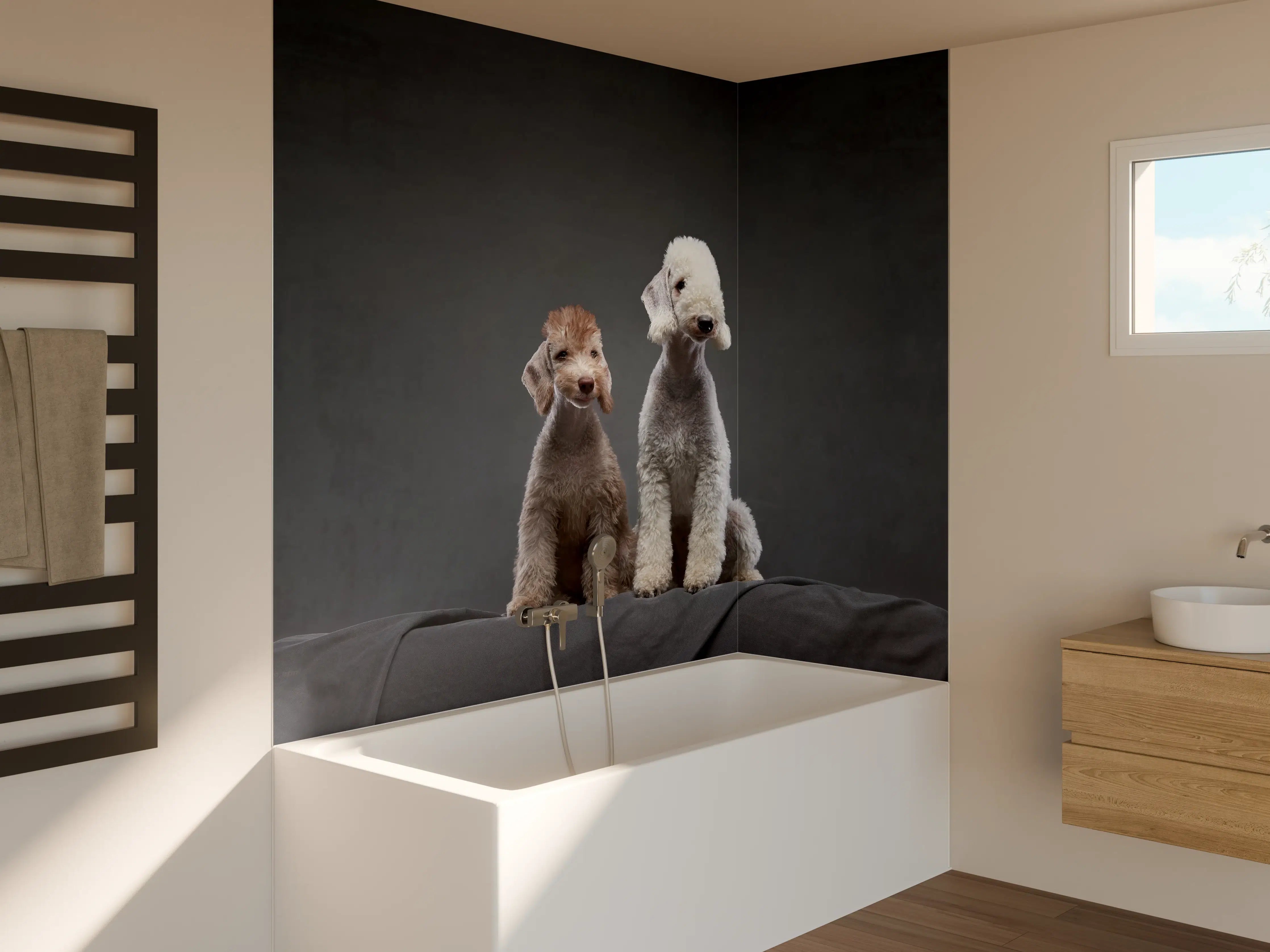 Badewannen-Rückwand - Welpe und erwachsener Bedlington Terrier