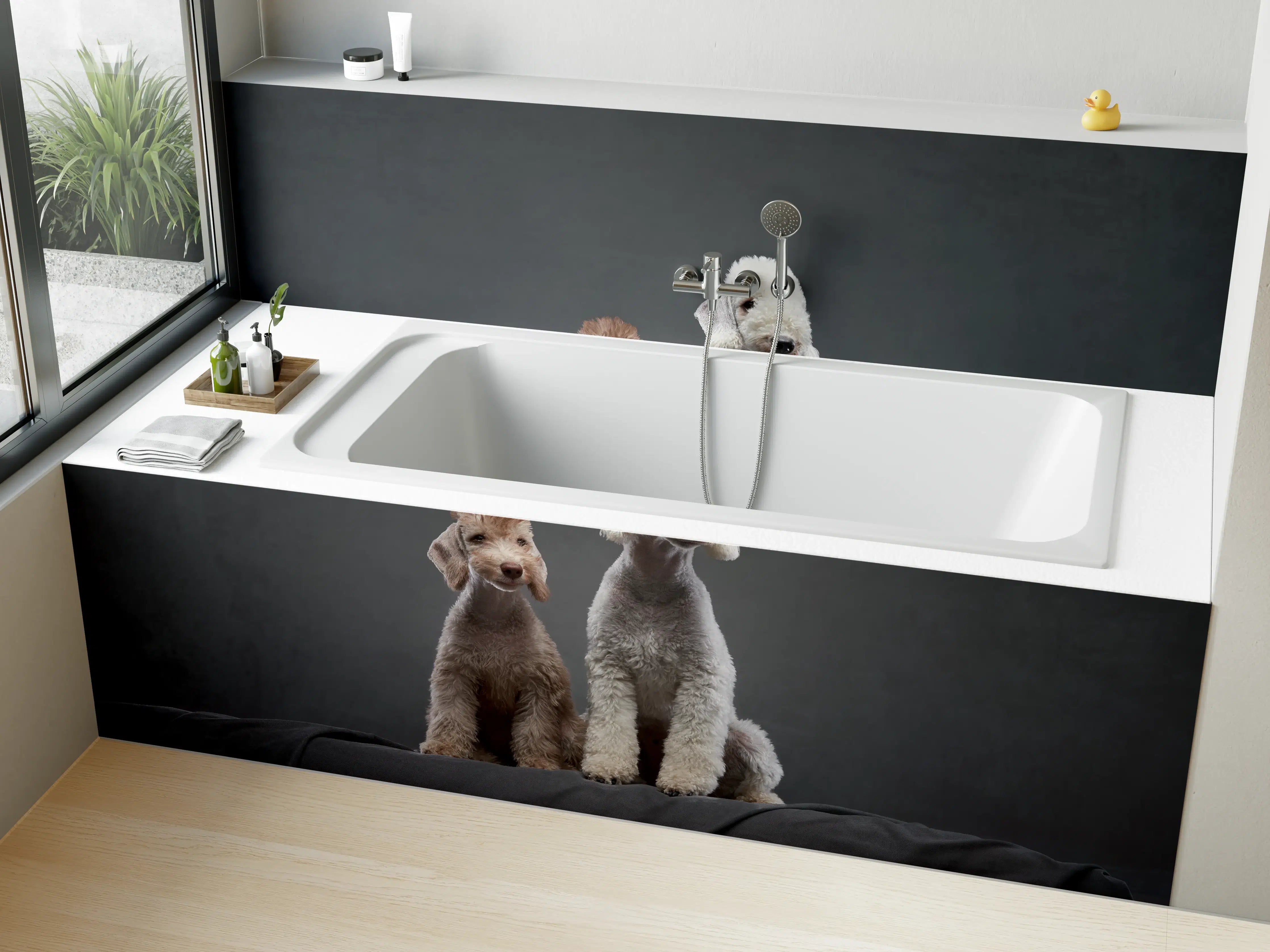 Badewannen-Rückwand - Welpe und erwachsener Bedlington Terrier