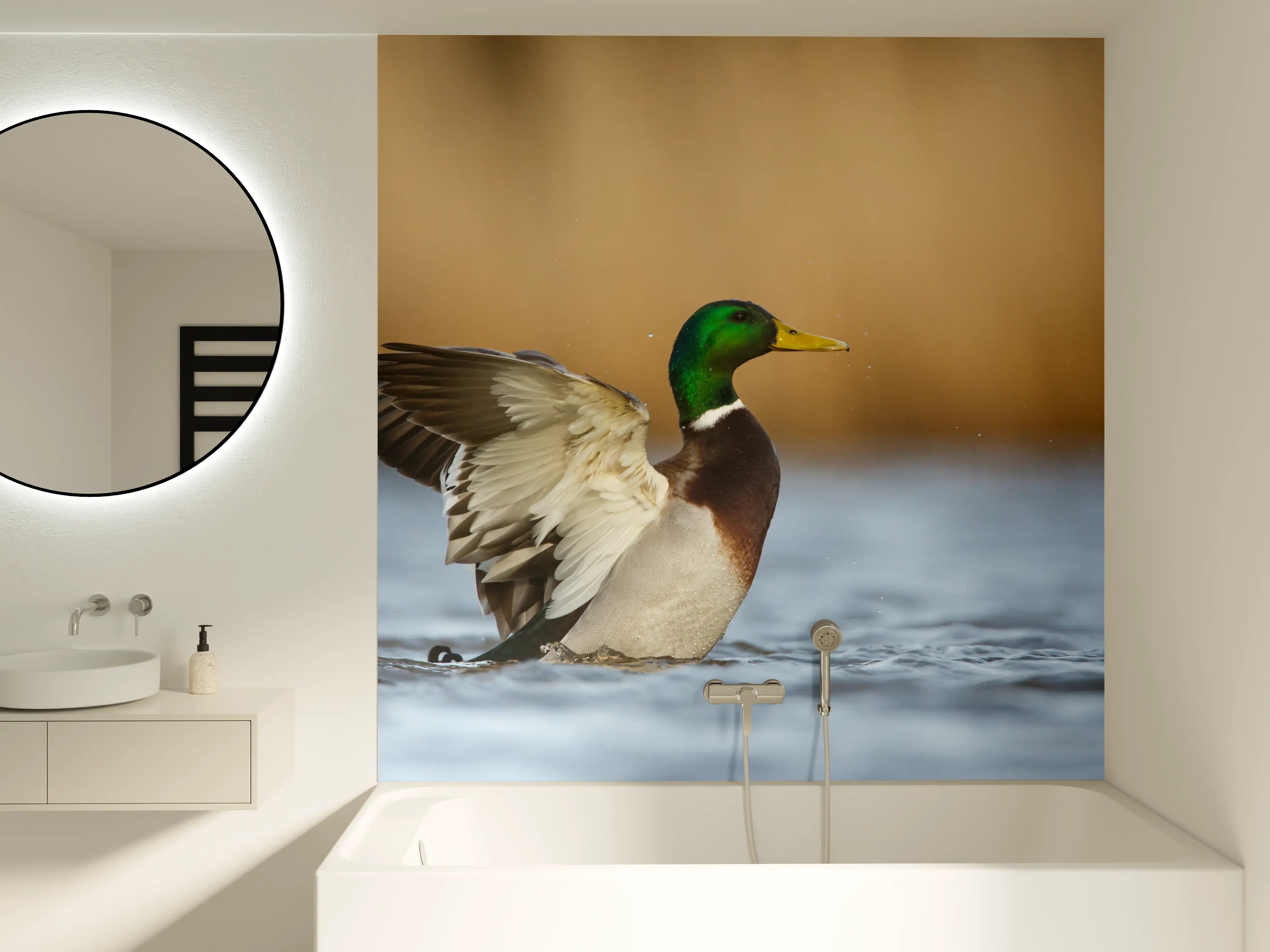 Badewannen-Rückwand - Wildente auf dem Wasser