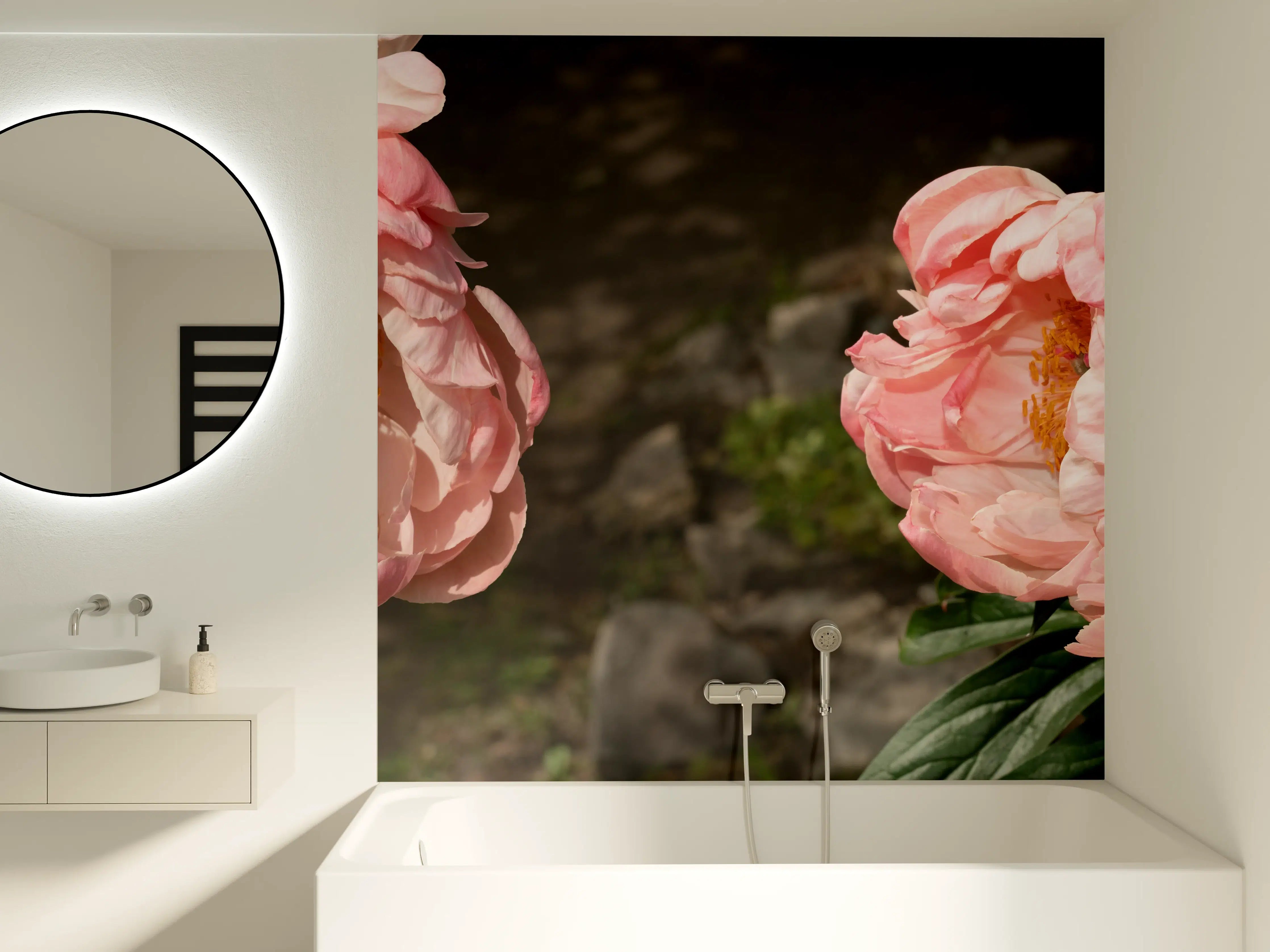 Badewannen-Rückwand - Zwei rosa Pfingstrosen in einem alten Garten.