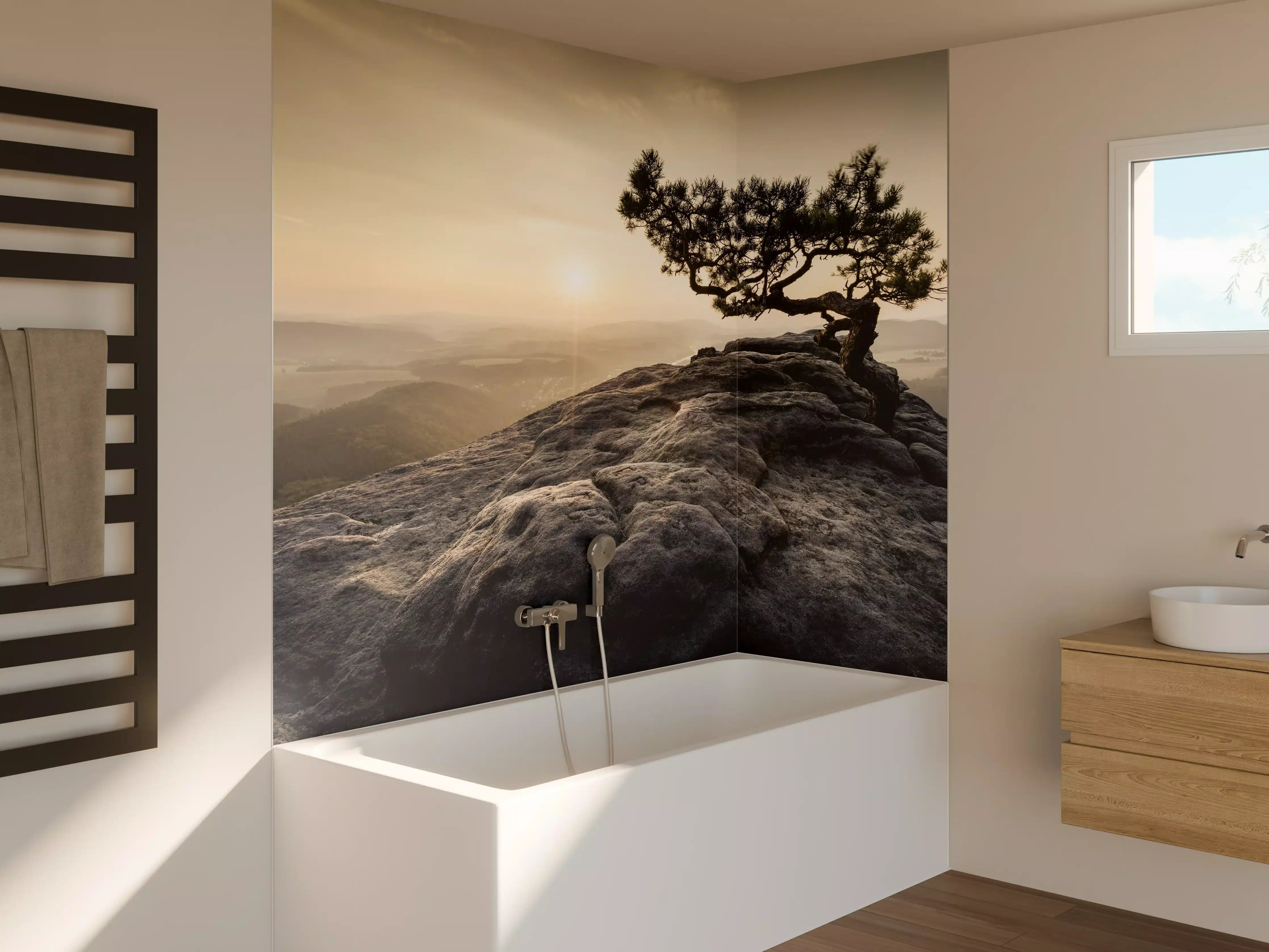 Badewannen-Rückwand - alte Kiefer zum Sonnenaufgang - Sächsische Schweiz