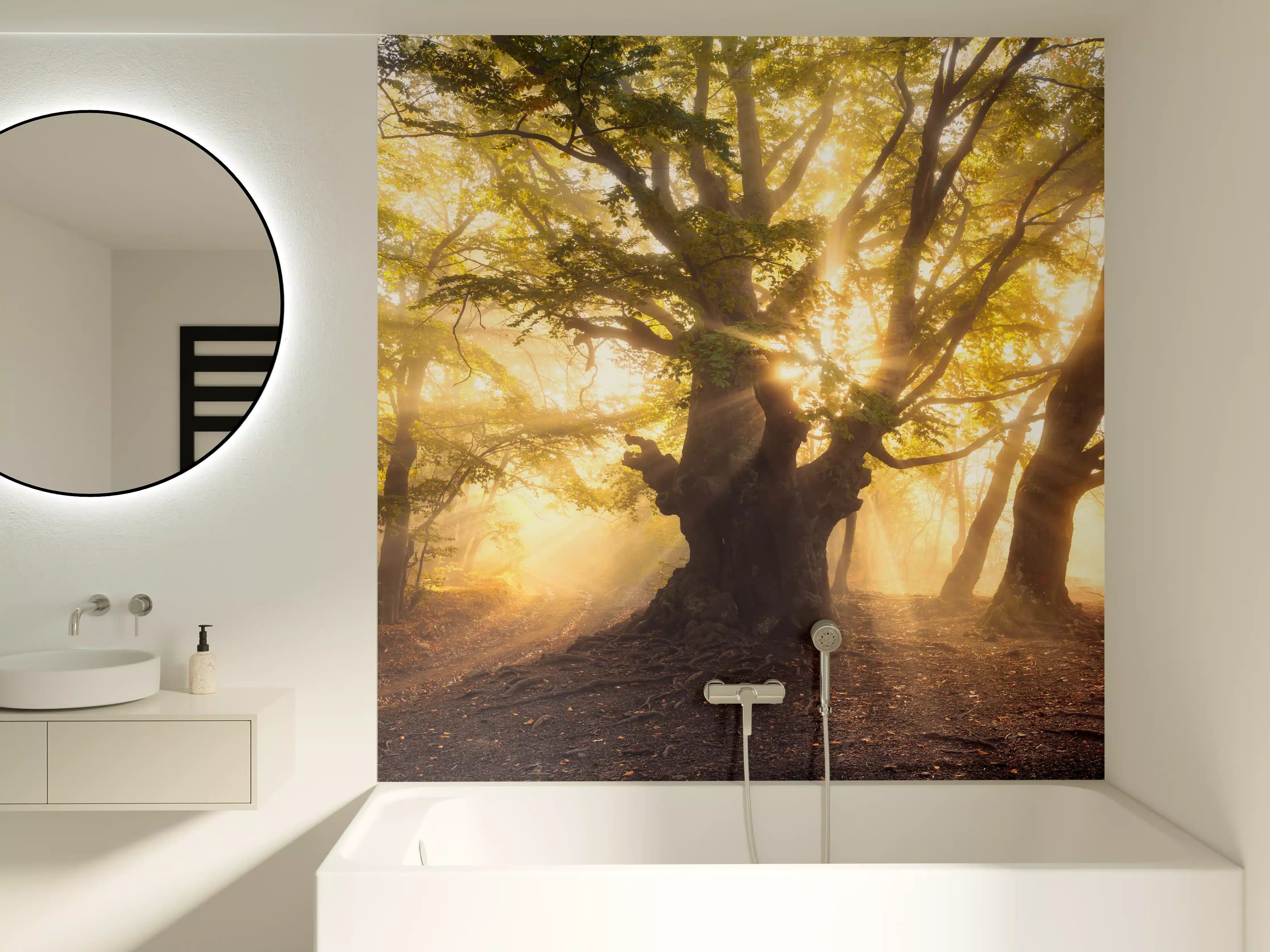 Badewannen-Rückwand - alter Baum bei Sonnenaufgang im Nebel