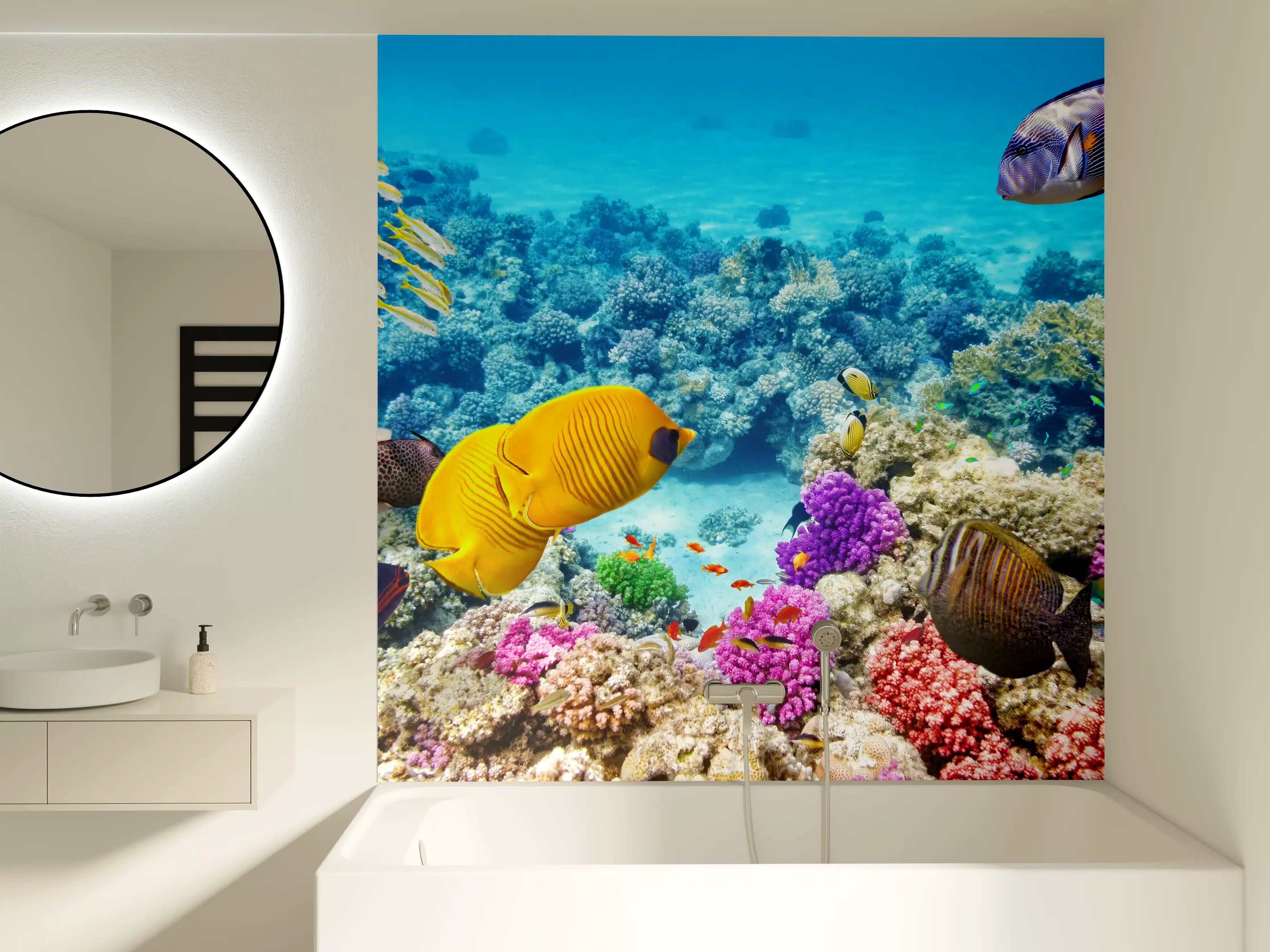 Badewannen-Rückwand - bunte Unterwasserwelt in Australien