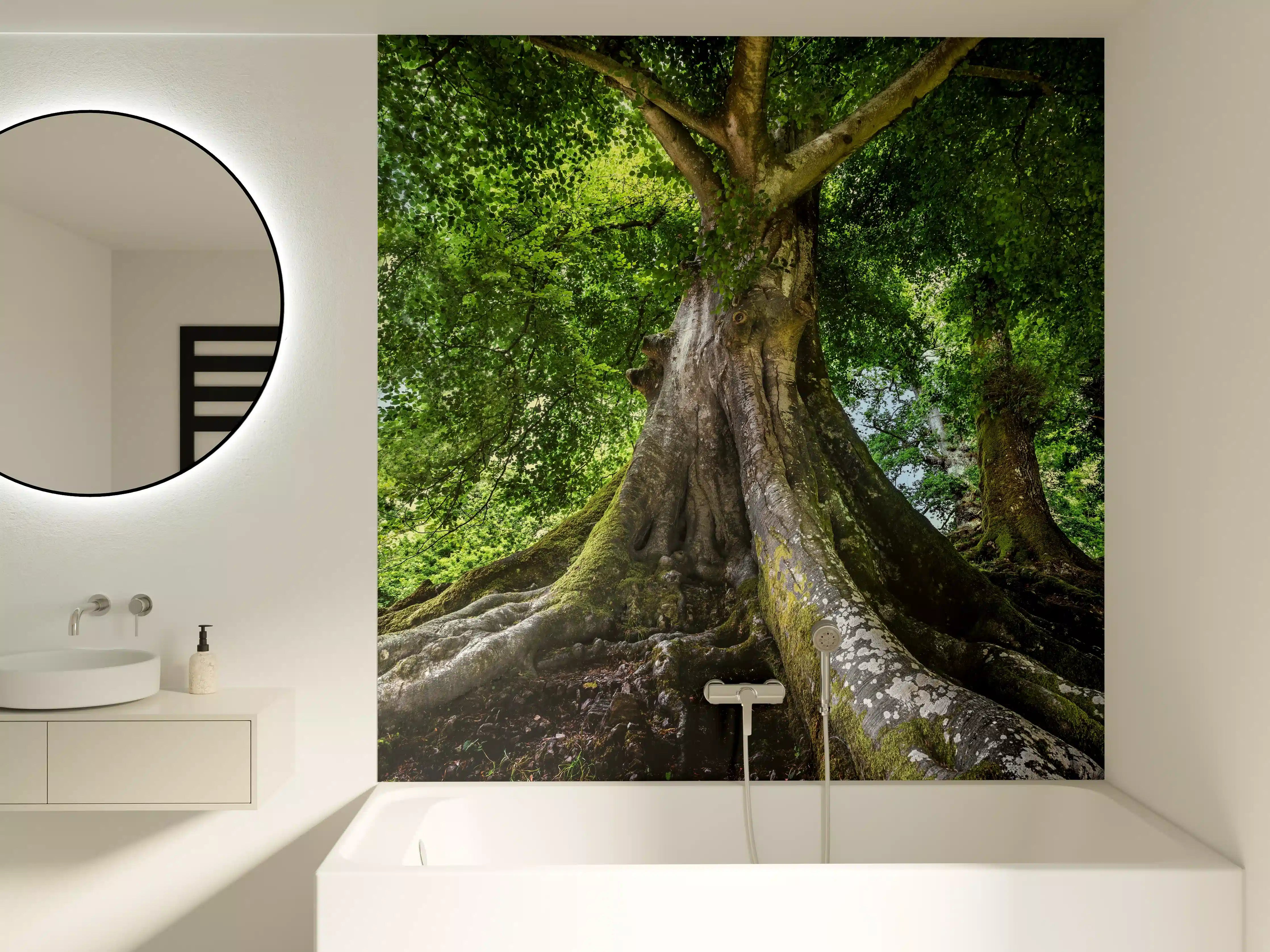 Badewannen-Rückwand - großer alter Baum in Froschperspektive
