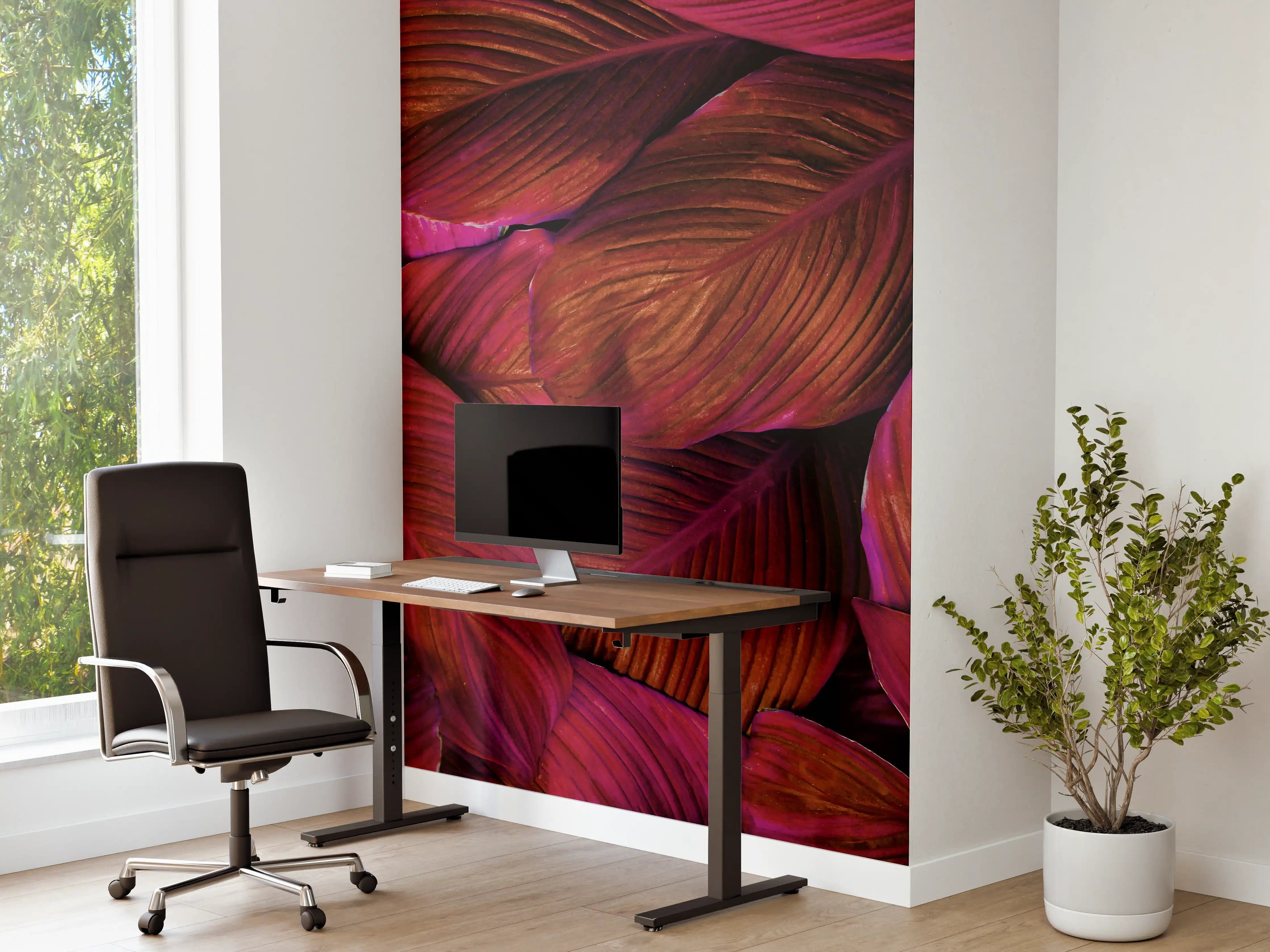 Büro Wandgestaltung -  Spathiphyllum cannifolium - Rosa Blätter