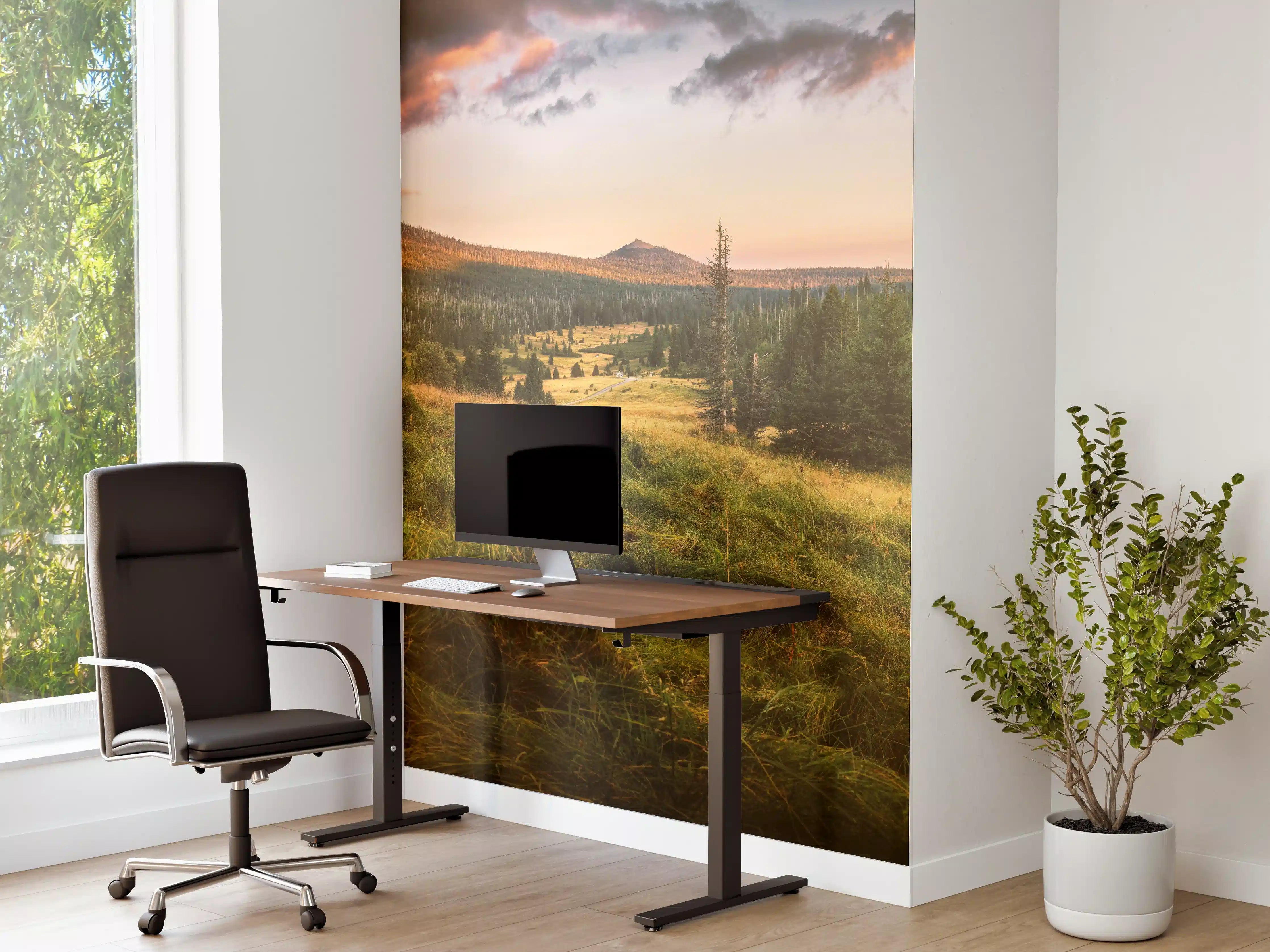 Büro Wandgestaltung - Abendlicher Berg Luzný - Tschechien