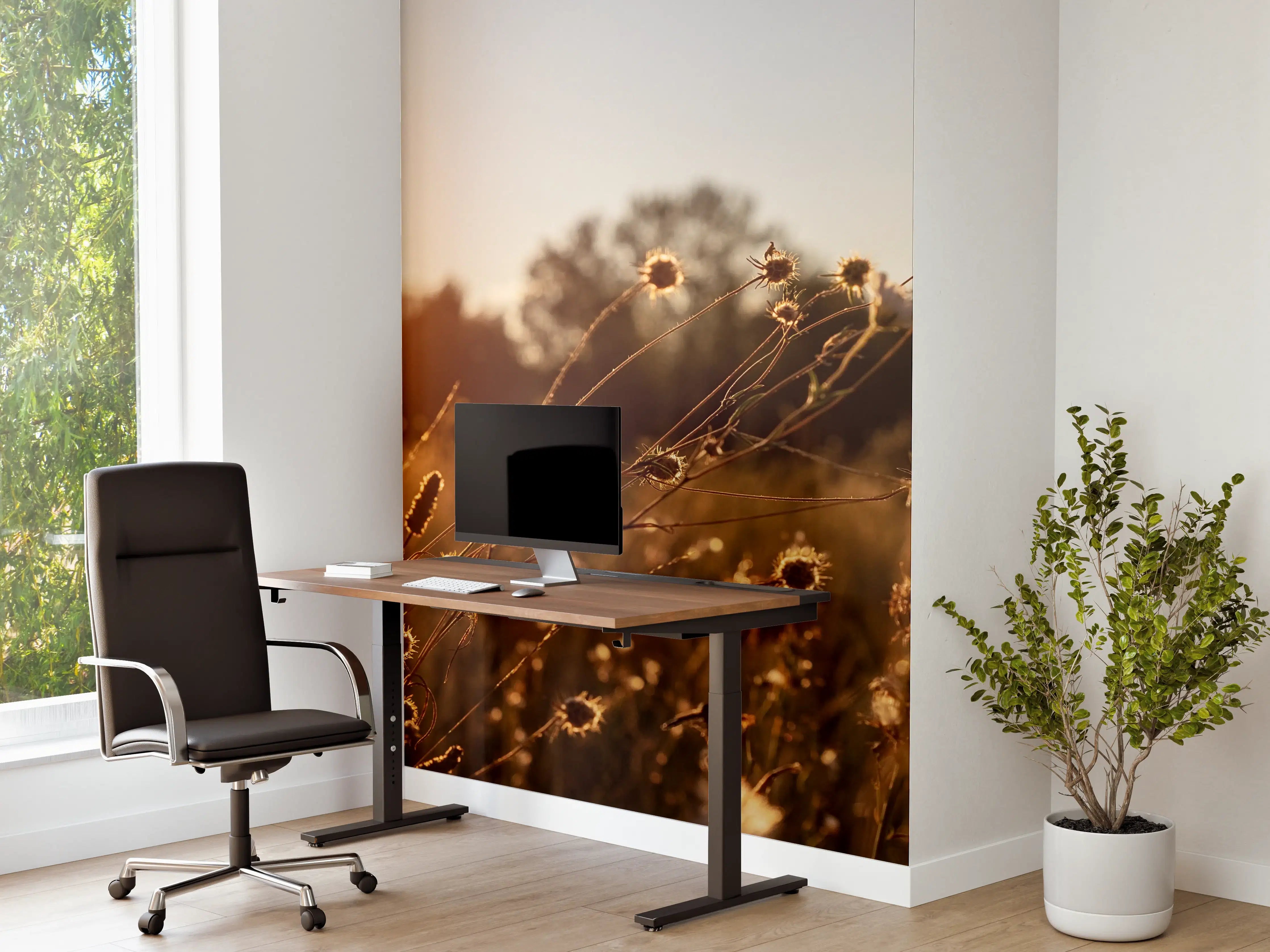Büro Wandgestaltung - Abendlicht über Blütenmeer