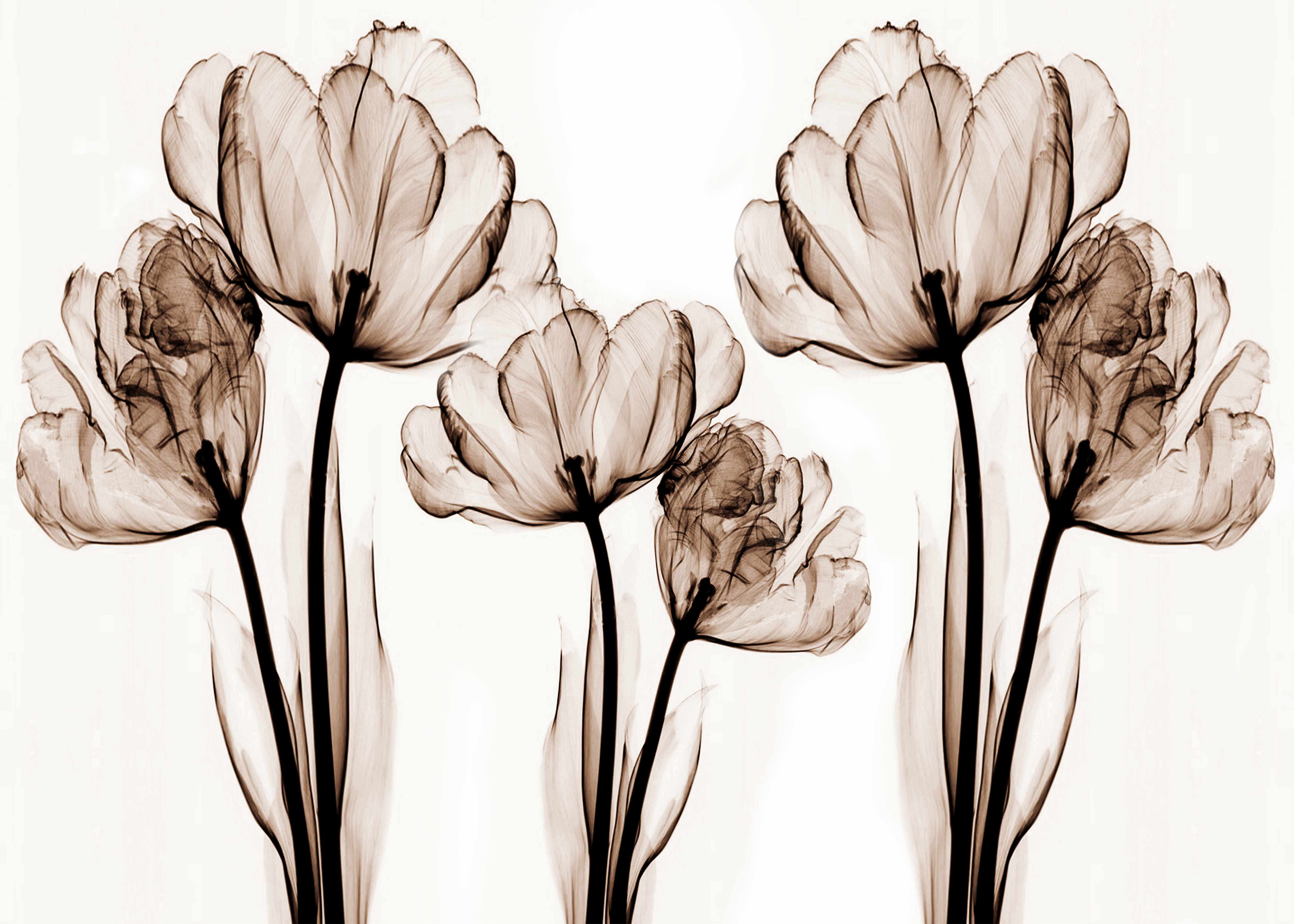 Büro Wandgestaltung-Abstraktes Blumendesign