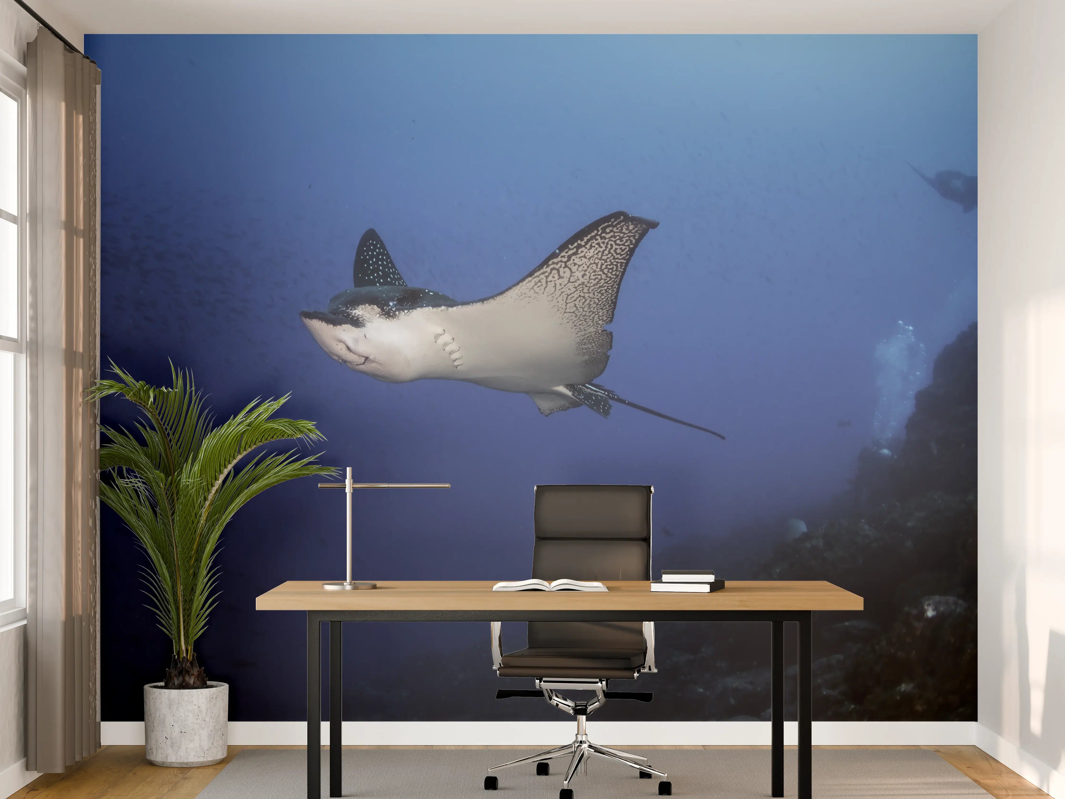 Büro Wandgestaltung - Adlerrochen schwimmt über dem Korallenriff