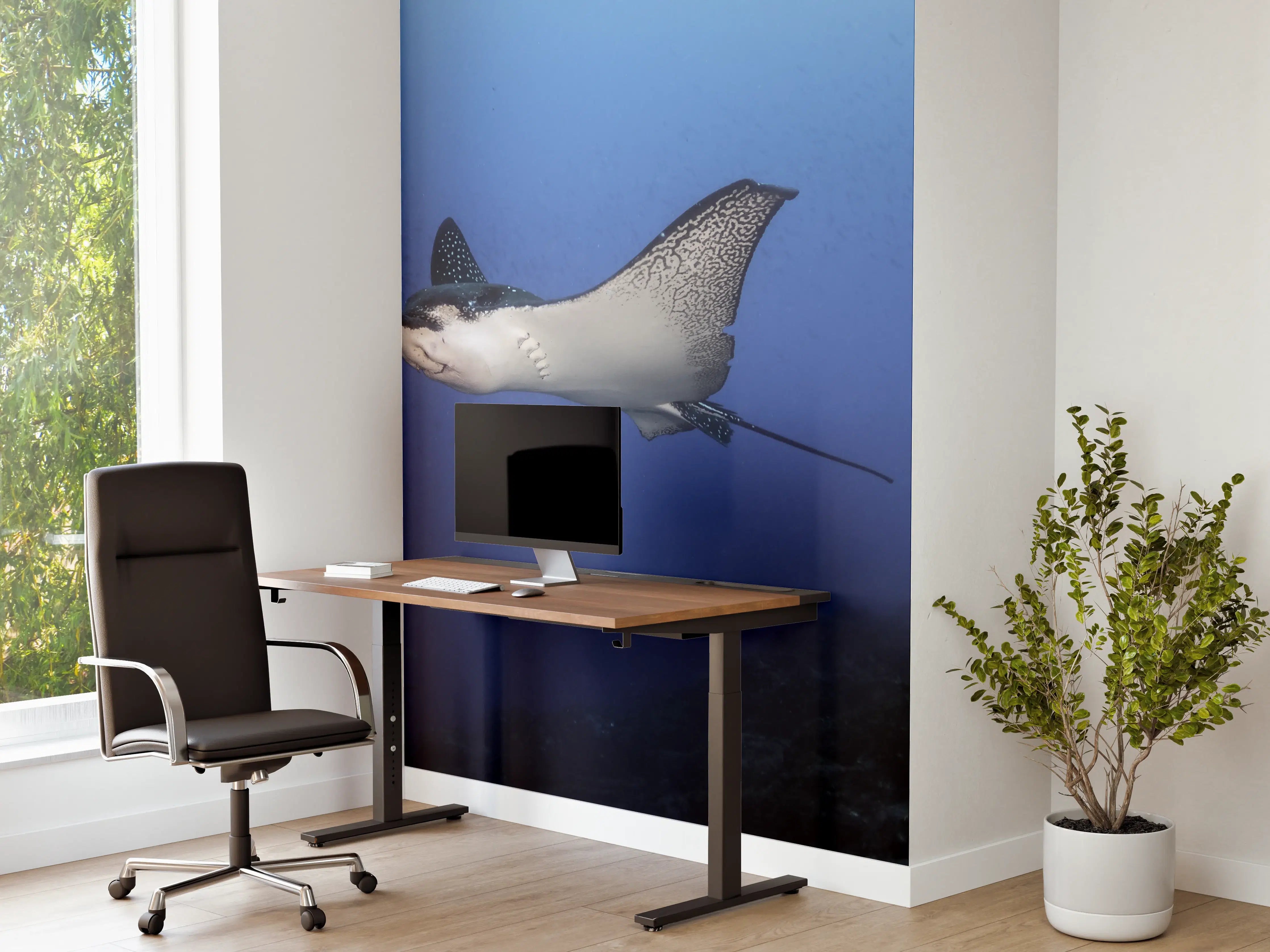 Büro Wandgestaltung - Adlerrochen schwimmt über dem Korallenriff