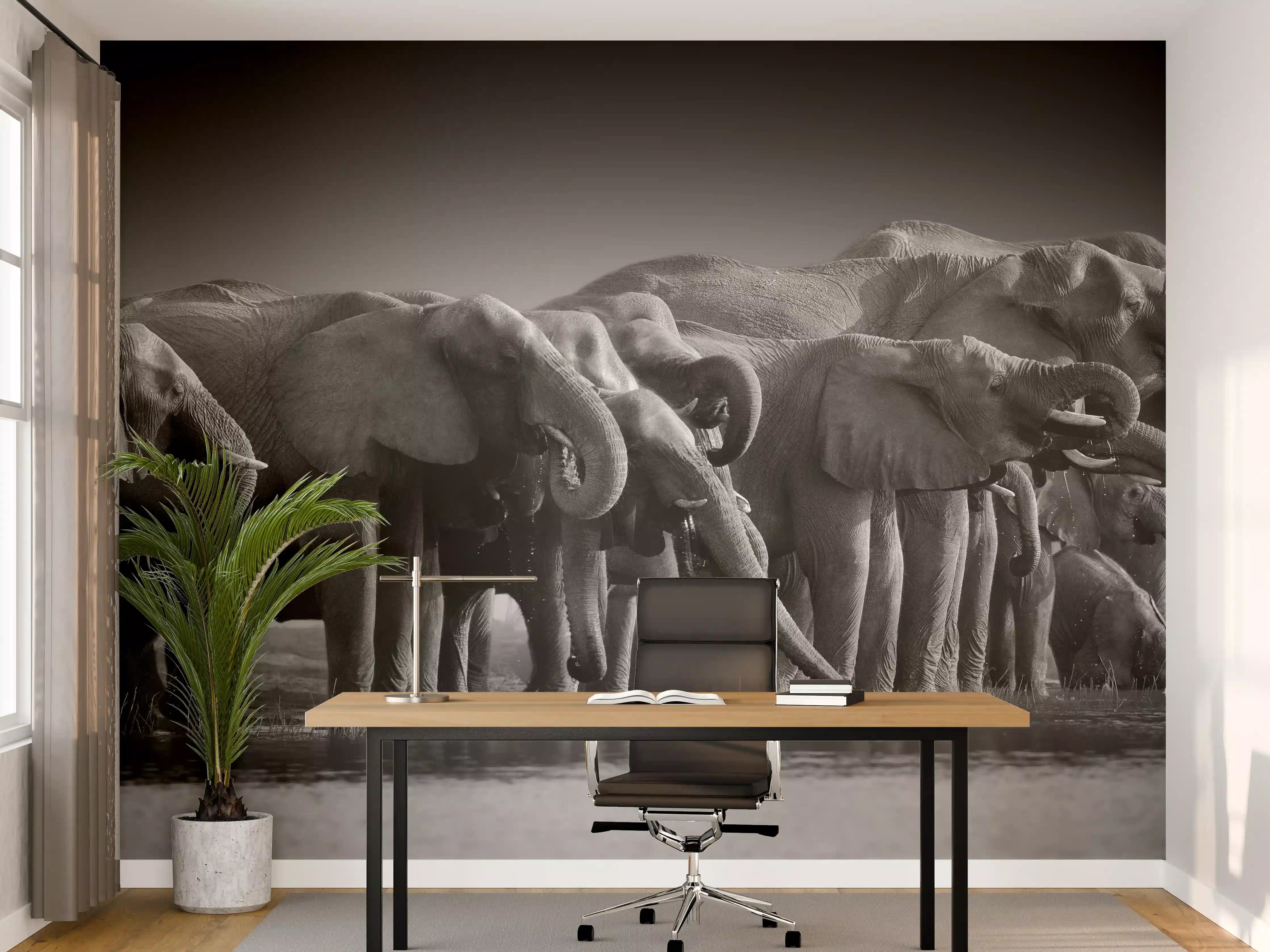 Büro Wandgestaltung - Afrikanische Elefantenherde (Schwarz-Weiß)