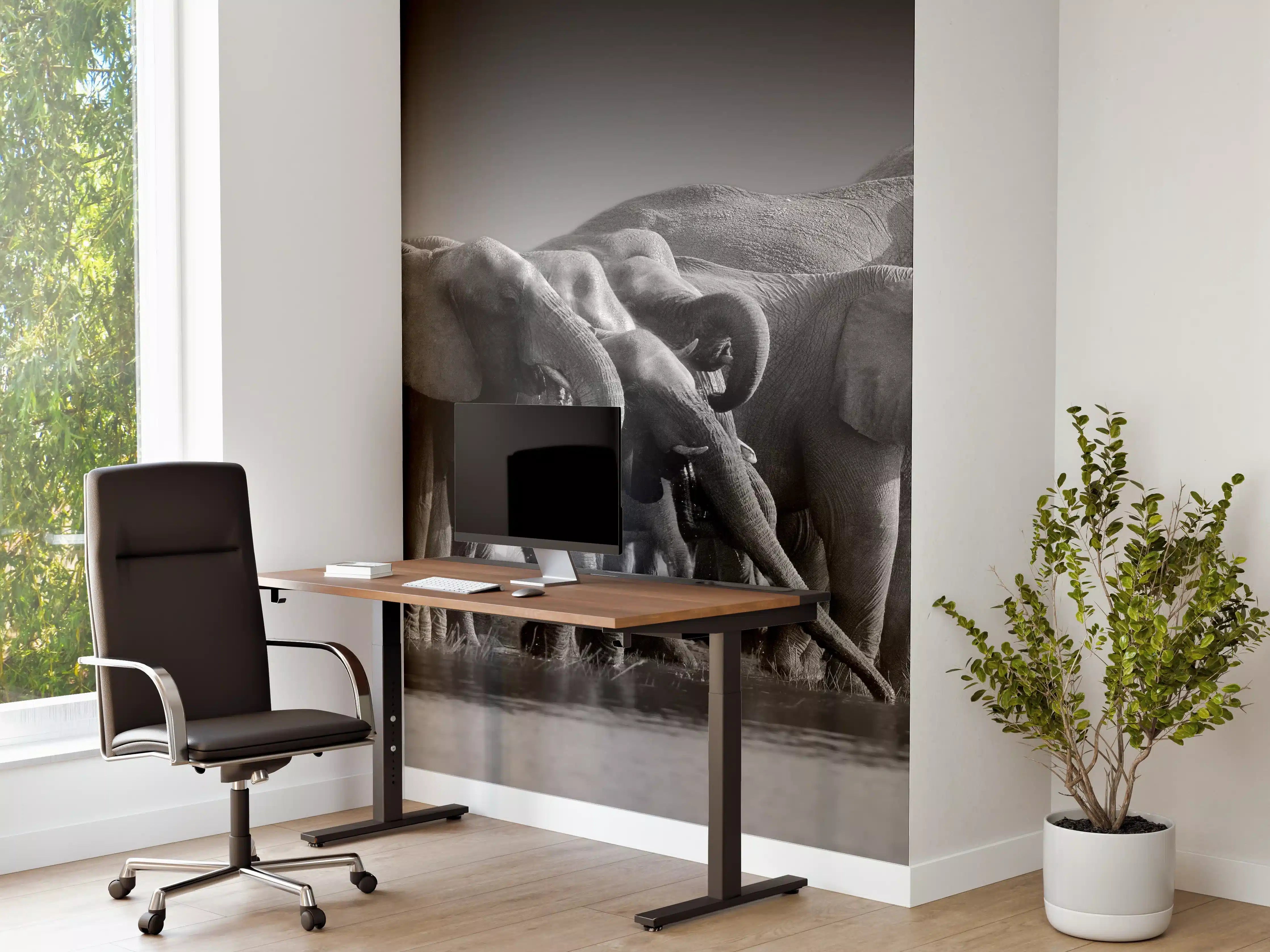 Büro Wandgestaltung - Afrikanische Elefantenherde (Schwarz-Weiß)