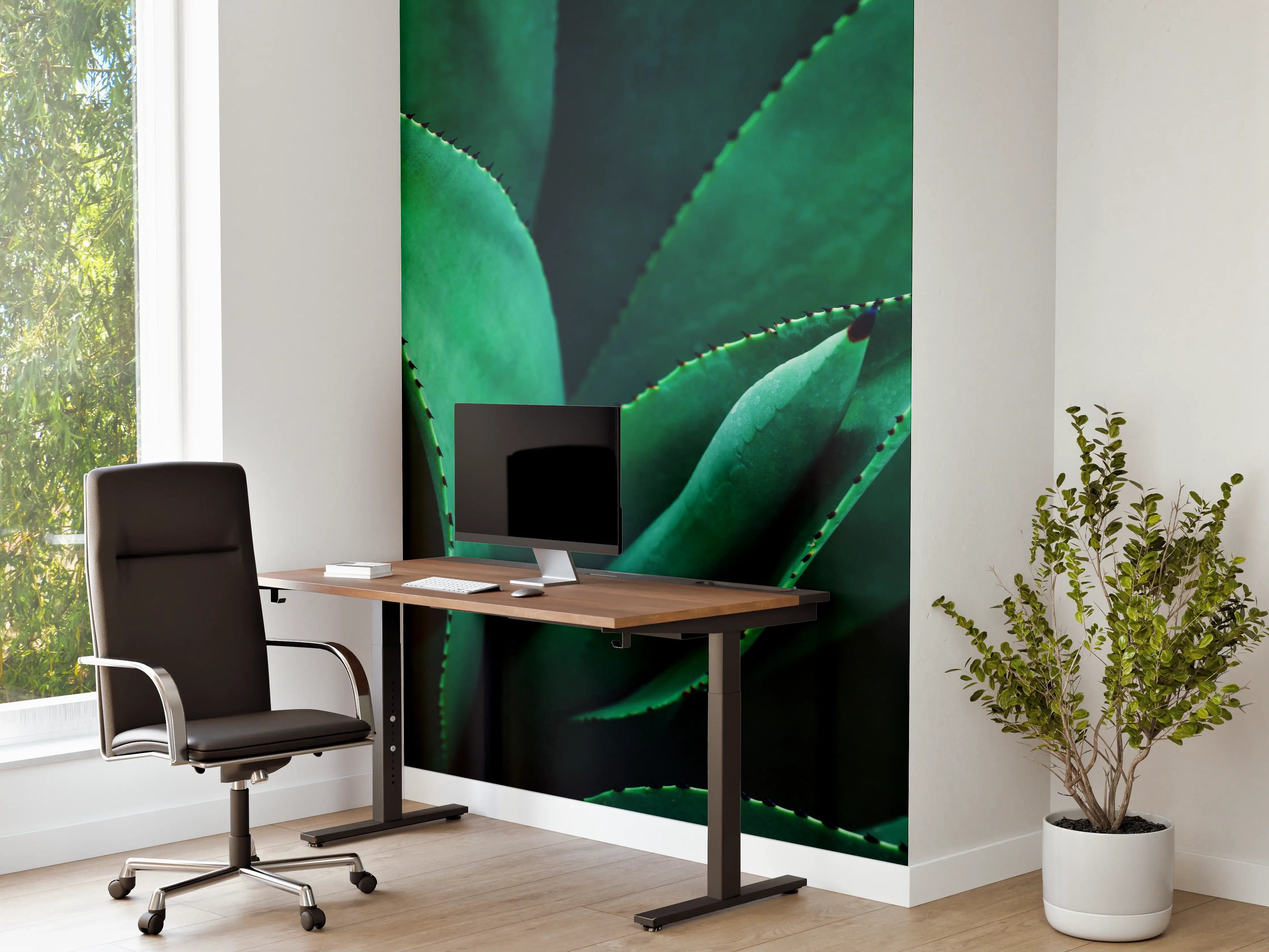 Büro Wandgestaltung - Agave Kaktus - Nahaufnahme