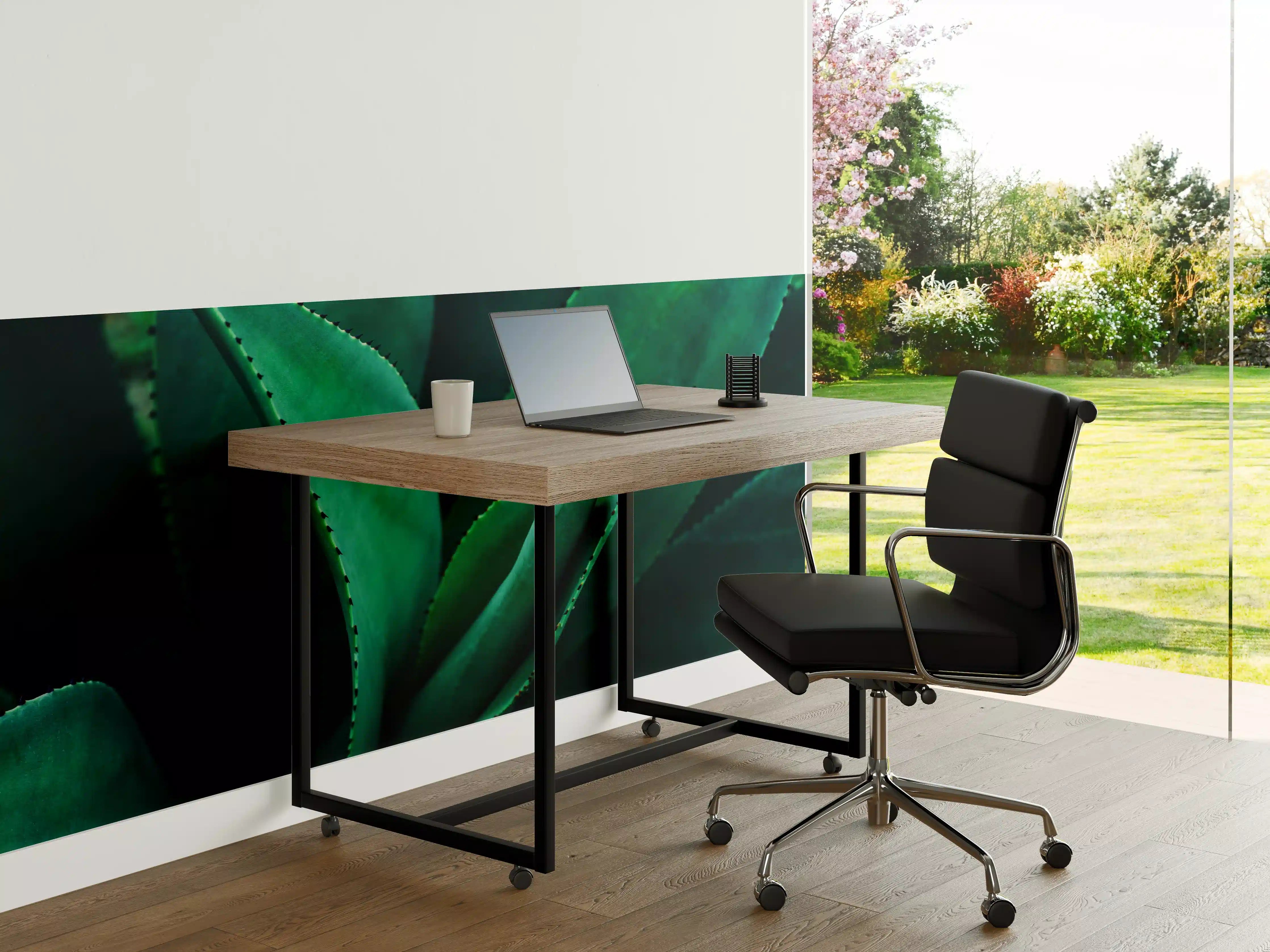 Büro Wandgestaltung - Agave Kaktus - Nahaufnahme