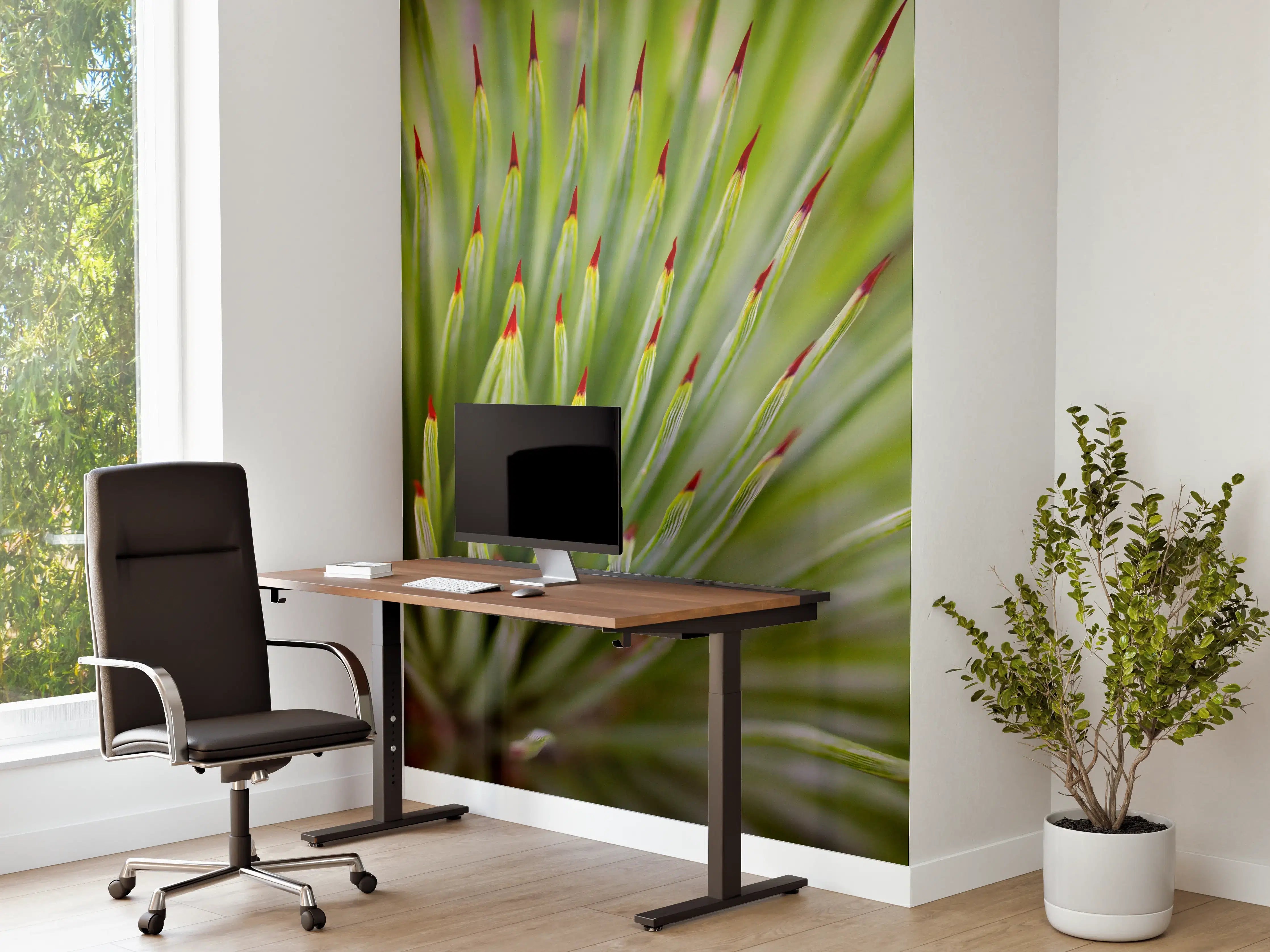 Büro Wandgestaltung - Agave striata im Detail